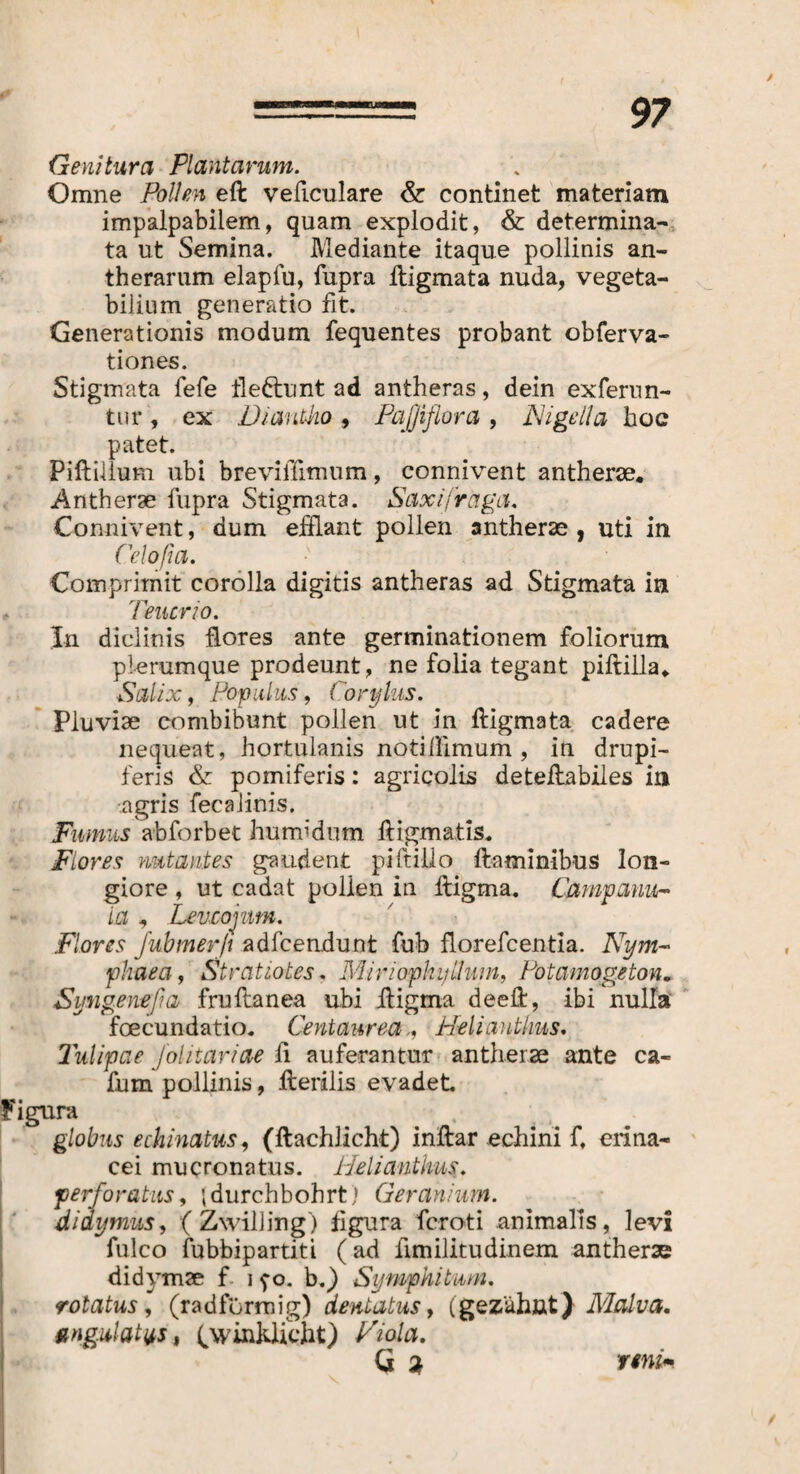 y Genitura Plantarum. Omne Pollen efl veficulare & continet materiam impalpabilem, quam explodit, & determina¬ ta ut Semina. Mediante itaque pollinis an- therarum elapfu, fupra fligmata nuda, vegeta¬ bilium generatio fit. Generationis modum fequentes probant obferva- tiones. Stigmata fefe tle&unt ad antheras, dein exferun- tur, ex Diantko, Pajjiflora, Nigella hoc patet. Pillillum ubi brevilTimum, connivent antherae. Antherae fupra Stigmata. Saxifraga. Connivent, dum efflant pollen antherae, uti in Celo/ia. Comprimit corolla digitis antheras ad Stigmata in Teucrio. In diclinis flores ante germinationem foliorum plerumque prodeunt, ne folia tegant piflilla«. Salix, Populus, Corylus. Pluviae combibunt pollen ut in fligmata cadere nequeat, hortulanis notiHimum , in drupi- feris & pomiferis: agricolis deteflabiles in agris fecaiinis. Fumus abforbet humidum fligmatis. Flores nutantes gaudent piftillo flaminibus lon¬ giore , ut cadat pollen in fligma. Campana- ia , Levcojum. Flores fubmerf adfcendunt fub florefcentia. ATz/m- phaea, Stratiotes. Miriophijllum, Potamogeton. Syngenefa fruftanea ubi fligma deefl, ibi nulla' foecundatio. Centaurea,, Helianthus. Tulipae Jolitariae fi auferantur antherae ante ca- fum pollinis, flerilis evadet Figura globus echinatus, (flachlicht) inflar echini f. erina¬ cei mucronatus. Helianthus. perforatus, \durchbohrt) Geranium. didymus, (Zwilling) figura fcroti animalis, levi fulco fubbipartiti (ad fimilitudinem antherae didymae f i ^o. b.) Symphitum. rotatus, (radfurmig) dentatus, (gezähnt) Malva. ungulatas, (winklicht) Viola. Q a remm