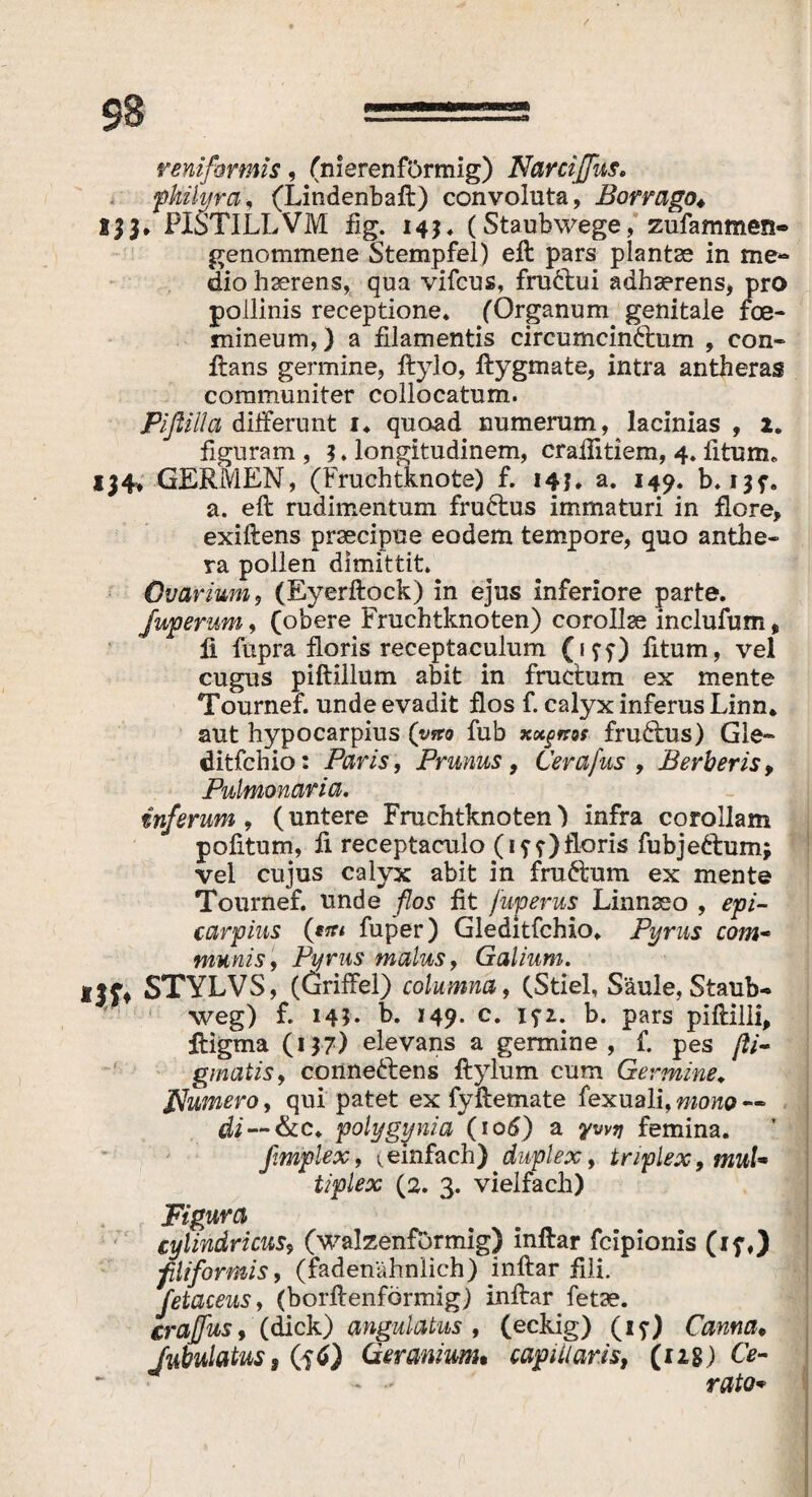 / 98 ~==s reniformis, (nierenförmig) NarciJJus. philyra, (Lindenbaft) convoluta, Borrago* PISTILLVM fig. 14$. (Staubwege, zufammen« genommene Stempfel) eil pars plantae in me¬ dio haerens, qua vifcus, frudtui adhaerens, pro pollinis receptione* (Organum genitale foe- mineum,) a filamentis circumcinctum , con¬ flans germine, flylo, flygmate, intra antheras communiter collocatum. Pifiiüa diiferunt 1* quoad numerum, ^ lacinias , 2. figuram , 3. longitudinem, craifitiem, 4. fiturru 134, GERMEN, (Frachtknote) f. 145* a. 149. b. ijf. a. eft rudimentum fruttus immaturi in flore, exiftens praecipue eodem tempore, quo anthe- ra pollen dimittit. Ovarium, (Eyerftock) in ejus inferiore parte. fuperum, (obere Fruchtknoten) corollae inclufum, fi fupra floris receptaculum (iff) fitum, vel cugus piftillum abit in fructum ex mente Tournef. unde evadit flos f. calyx inferus Linn* aut hypocarpius (ytto fub xot§ms fruftus) Gle- ditfchio: Paris, Prunus , Cerafus , Berberis, Pulmonaria. inferum, (untere Fruchtknoten) infra corollam pofitum, fi receptaculo (iff)floris fubjedtum; vel cujus calyx abit in fructum ex mente Tournef. unde flos fit fuperus Linnaeo , epi- carpius {em fuper) Gleditfchio* Pyrus com~ munis, Pyrus malus, Galium. Ijf* STYLVS, (Griffel) columna, (Stiel, Säule, Staub¬ weg) f. 141- b. 149. c. ifi. b. pars piftilii, ftigma (i}7) elevans a germine, f. pes fti- gmatis, connettens flylum cum Germine* Humero, qui patet ex fyftemate fexuali, mono — &c* polygynia (106) a yvvy femina. flmplex, (einfach) duplex, triplex, muU tiplex (2. 3. vielfach) Figura cylindricus, (walzenförmig) inflar fcipionis (if,) filiformis, (fadenähnlich) inftar fili. fetaceus, (borftenformig) inftar fetae. craflus, (dick) angulatus , (eckig) (if) Cama« Jubulatus, (fi) Geranium* capillaris, (128.) Ce- < - rato»