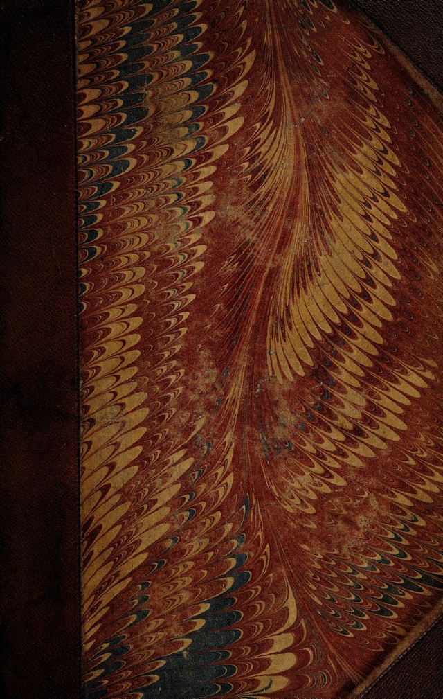 No text description is available for this image