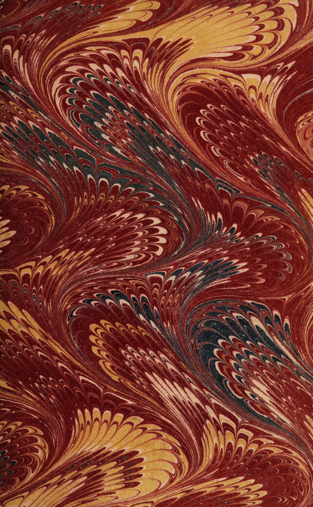 No text description is available for this image