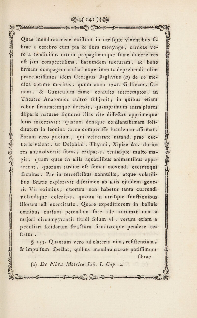 I I © I Quae membranaceae cxiftunt in utrifque viventibus £• brae a cerebro cum pia 8c 'dura menynge , carneae ve¬ ro a tendinibus ortum propaginemque fuam ducere res efl jam compertiilima . Earumdem texturam, ac bene firmam compagem oculari experimento deprehendit olim praeclarifiimus idem Geergius Baglivius (a) de re me¬ dica optime meritus, quum anno 1701. Gallinam, Ca¬ nem, Sc Cuniculum fame confulto interemptos, in Theatro Anatomico cultro fubjecit; in quibus etiam robur firmitatemque detexit, quamprimum intra plures diijparis naturae liquores illas rite diire£l:as apprimeque lotas maceravit: quarum denique confiantiflimam foli- ditatem in leonina carne comperifTe luculenter affirmat. Eorum vero pifeium , qui velocitate natandi prae cac- teris valent, uc Delphini, Thynni, Xipiae Scc» durio¬ res animadvertit fibras , crifparas , tenfafque multo ma¬ gis, quam quae in aliis aquatilibus animantibus appa¬ rerent, quorum tardior efl: femet movendi caeceroqui facultas . Par in tcrreftribus nonnullis, atque volatili¬ bus Brutis exploravit diferimen ab aliis ejufdem gene» ris Vir eximius, quorum non habetur tanta currendi volandique celeritas, quanta in utrifque funfVionibus illorum eft exercitatio. Quare expeditiorem in belluis omnibus curfum petendum fore ille autumat non a majori circumgyrantii fluidi folum vi , verum etiam a peculiari foiidorum fl:ru£lura furnitateque pendere te- ftatur . f § 133. Quantum vero ad elateris vim, refiftentiam , &: impulfum fpeTat, quibus membranaceae potiflimum fibrae (a) Di? Flhra Matrice Lih, I. Cap. 2. I o ©