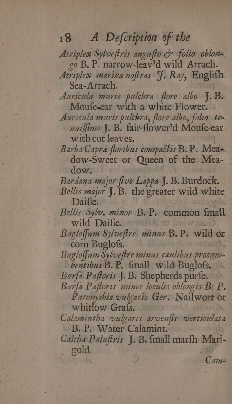 Atriplex: Sylveftris angufto &amp; folio oblons go B. P. narrow-leav’d wild Arrach. Atriplex: marina noftras Ff. Ray, Englifh. Sea-Arrach. . Auricula muris palchra flore albo J. B. Moufewear with a white Flower. ° Auvicula muris pulttra, flore albo, folio. te nuiffime \. B. fair-flower’d Moute- ear — with cut leaves. Barba Capra floribas compactis B. P. Meas. dow-Sweet or Queen of the Mea- dow. | Bardana major ve Lappa J. B. Burdock. Bellis mar J. B. the greater wild white Daifie. Bellis: Syl. minor B. P. common fimall wild Daifie. - ).. Bagloffam Sylueftre minus B. P: aaallt or corn Buglofs. Bugloffam. Sylveftre minus ih Ga procum- -bentibus B.P. {mall wild Buglofs. eee Paftoris J. B. Shepherds purfe, Burfa Paftoris minor loculis oblongis Br P. Paronychia vulgaris Ger. Nailwort or whitlow Grafs. Calamintha vulgaris arveni s BoesMet a . B.P. Water Calamint. . oa Paluftris J. Bs {mall marfh Mari- exe) d. ¢. ams