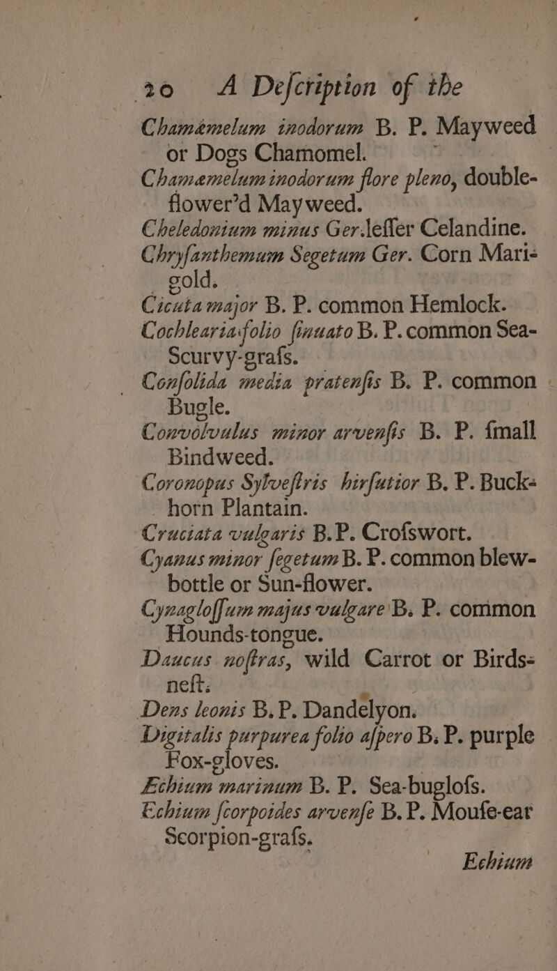 Chamemelum inodorum B. P. Mayweed or Dogs Chamomel. Te ; Chamameluminodorum flore pleno, double- flower’d Mayweed. _ : Cheledonium minus Ger.lefler Celandine. Chryfanthemum Segetum Ger. Corn Mart- old. Citta major B. P. common Hemlock. Cochlearia:folio finuato B. P. common Sea- Scurvy-grafs. Confolida media pratenfis B. P. common . Bugle. Convolvulus minor arvenfis B. P. {mall Bindweed. Coronopus Sylveftris hirfutior B, P. Bucks horn Plantain. Cruciata vulgaris B.P. Crofswort. Cyanus minor fegetumB. P. common blew- bottle or Sun-flower. Cyxaglof[um majus vulgare’ B. P. common Hounds-tongue. Daucus noftras, wild Carrot or Birds- nett: Dens leonis BP. Dandelyon. Digitalis purpurea folio afpero B. P. purple Fox-gloves. | Echium marinum B. P. Sea-buglofs. Echium fcorpoides arvenfe B. P. Moufe-ear Seorpion-grafs. Echium