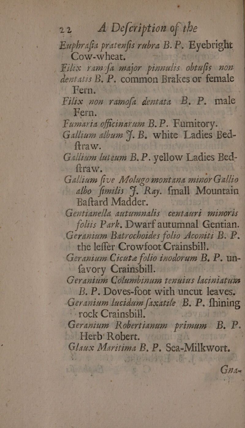 Enphrafis pratenfis rubra B. P. »-Byebright Cow-wheat. . Filix ramofa major Piss ‘obeah 5s non - dentatis B. P. common Brakes or female Fern. ! | . Fern. Fumaria oficinbkain B.P. Fumitory. Gallium album Ff. B. white Ladies Bed- ftraw. {traw. Baftard Madder. Gentianella autumnalis centaurit minoris foliis Park. Dwarf autumnal Gentian. the leflér Crowfoot Crainsbill. favory Crainsbill. Gerahiie Columbinum tenuius sc csniwaie B. P. Doves-foot with uncut leaves. -rock Crainsbill. Geranium Robertianum primum B. a Herb’ Robert. — Glens Serva“ e P. ‘Sea-Milkwor te .