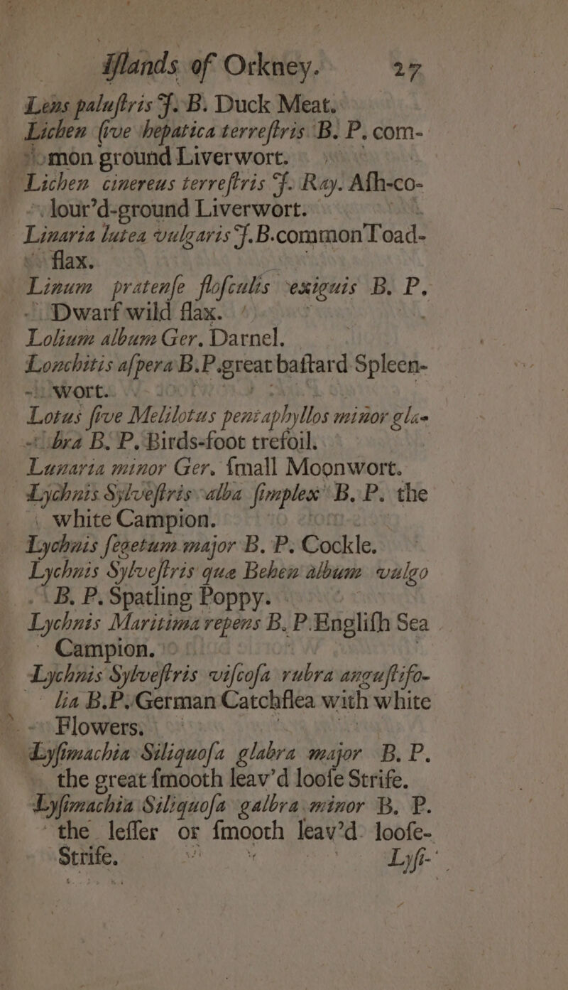 Lens paluftris F.B. Duck Meat. Lichen (ive shepatica terreftris. B: P.com- _ »omon ground Liverwort. Lichen cinereus terreftris F. Ray. Afh-co- . lour’d-ground Liverwort. | Linaris lutea vulgaris F.B. commonToad- flax. Fer pratenfe flofeulis exiguis B. P, Dwarf wild flax. ’ | mae album Ger. Darnel. Lonchitis afperaB.P great baitard Spleee “L.WOrt.. -.- Lota; ji five Melilotus pencaphyllos minor gli bra B. P, Birds-foot trefoil. eee minor Ger. {mall Moonwort. Lychnis Sylveftris alba fi plex B.P. the | white Campion. Lychnis fegetum major B. P. Cockle. Lychnis Sylueftris que Behen alowm vulgo __.\B. P. Spatling Poppy. - Lychnis Maritima repens B. P. Englifh Sea Campion. > | . Lychnis Sylueftris vifcofa sib anguftifo- _ La BL.PyGerman Catchflea with white »- ~Blowers) |: Lyfimachia Siliquofa glabra major B. P. the great fmooth leav’d loote Strife. byfi imachia Siliquofa galbra minor B, P. the leffer or fmooth leav’d- loofe- Strife. Raye a aca Lyfi-