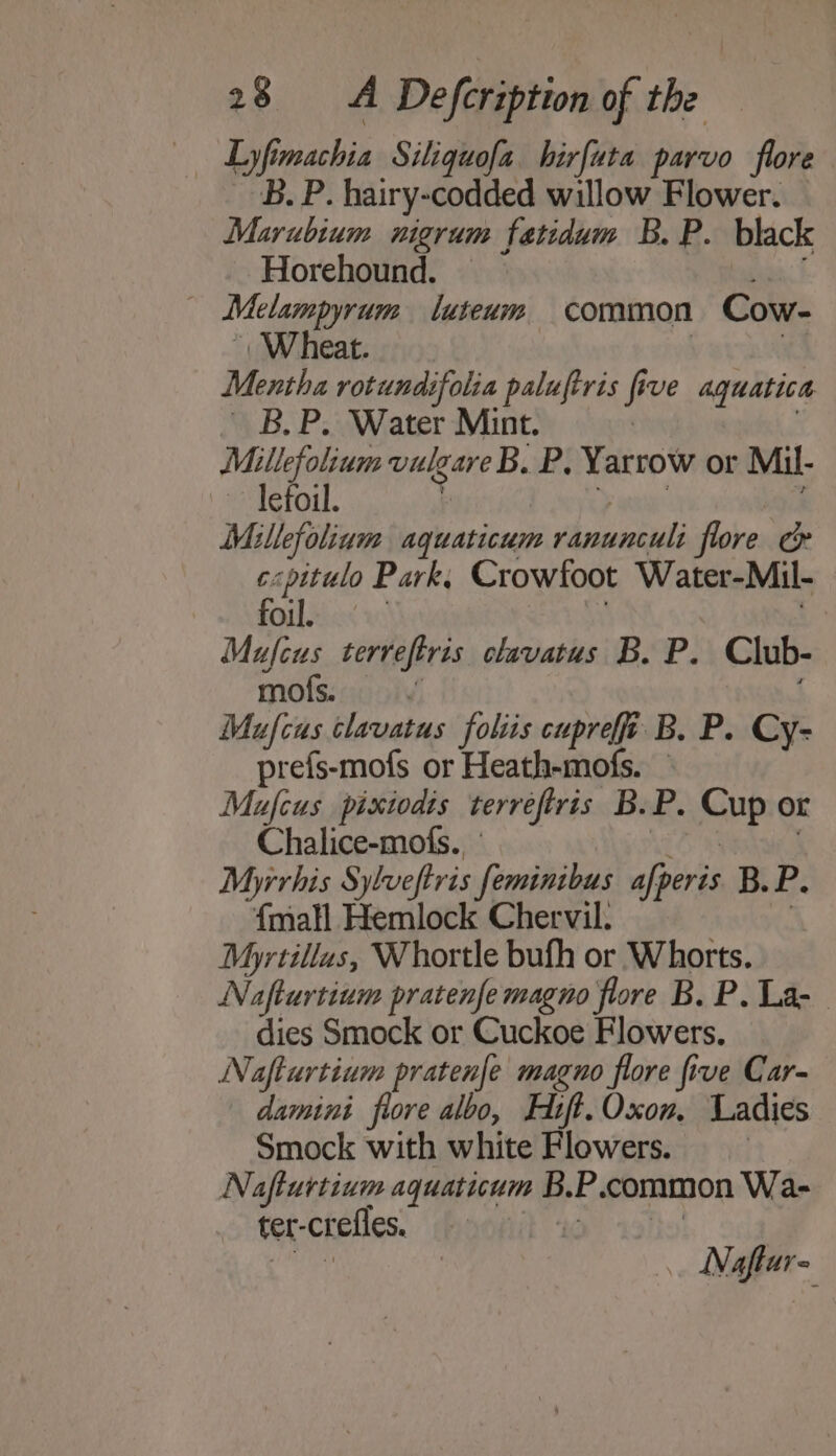 B. P. hairy-codded willow Flower. Marubium nigrum fatidum B. P. black Horehound. — — Melamprum luteum common Cow- | Wheat. Mentha rotundifolia paluftris fi ve aquatica B, P. Water Mint. ners ae vulgare B. P} Yarrow or Mil- ~~ lefoi Millefolium aquaticum shousieitil fore ce c&lt;pitulo Park. Crowfoot Weeahs foil. | Mucus terreftris clavatus B. P. Club- mofs. j Mufcus clavatus foliis cuprefft B. P. Cy- prefs-mofs or Heath-mofs. Mufcus pixiodts terrefiris B.P. Sup or Chalice-mofs.. Myrrhis Sylveftris s feminibus afperis B.P. {mall Hemlock Chervil. Myrtillus, Whortle bufh or Whorts. Nafturtium pratenfe magno flore B. P. La: - dies Smock or Cuckoe Flowers. Nafturtium pratenfe magno flore five Car- damini fiore albo, Hift. Oxon, Ladies Smock with white Flowers. Nafturtium aquaticum B. P common Was- ter- crefles. Naflare