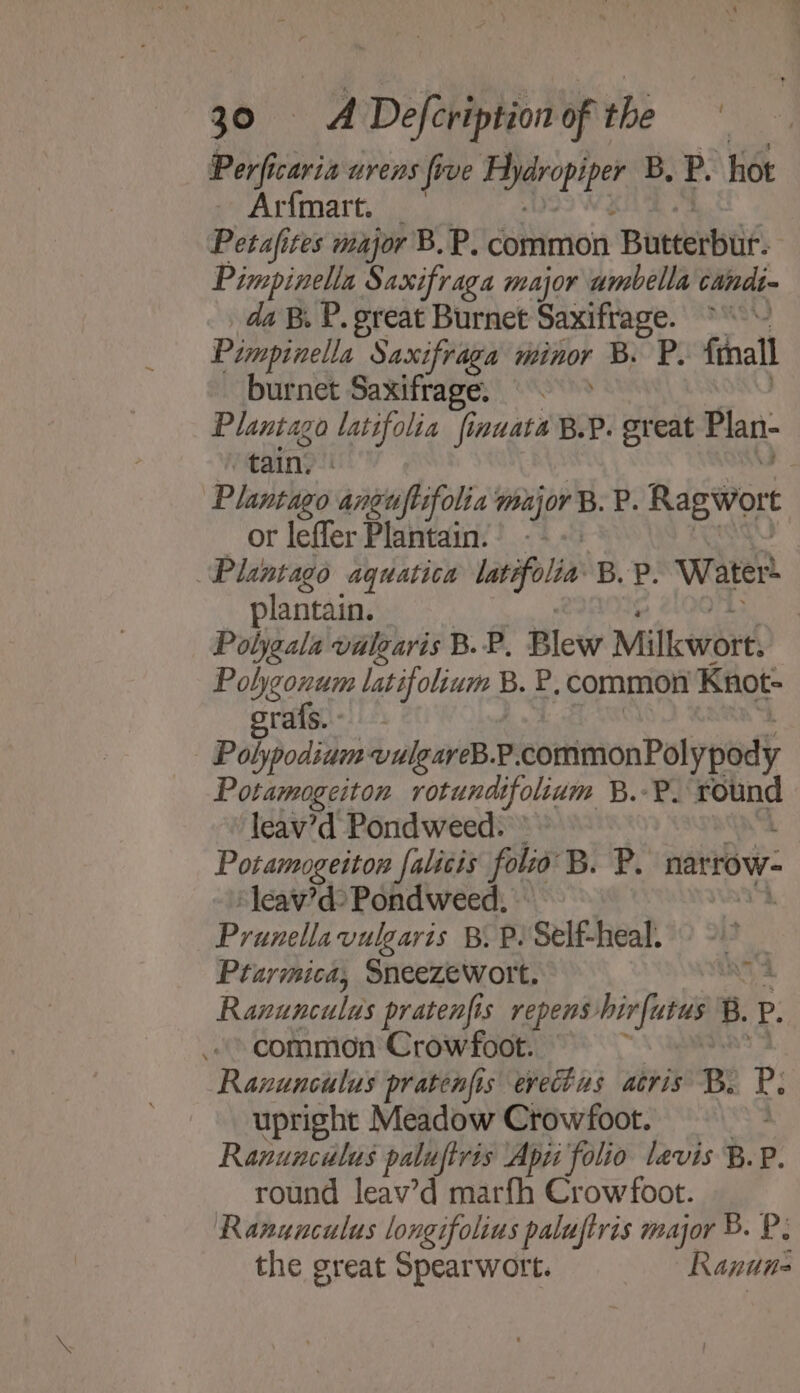 Perficaria urens five gaia B, P. ‘hot - Arfmart. _ Petafices major B.P. common ‘Butterbur. Pimpinella Saxifraga major ambella candi da B. P. great Burnet Saxifrage. “ Pimpinella Saxifraga minor ‘Pe P: final burnet Saxifrage, Plantago latifolia finuata B.P. great Flan- “tain. . Plantago anguftsfolia major B. P. Ragwort or leffer Plantain. | Plantago aquatica latifolia: B. P. Water plantain. | Poljgala valearis B. P. Blew Milkwort, Polygonum latifolium B. P. common Knot- orafs. - Polypodium vulgareB.P. cottinionPaly pody Potamogeiton rotund ive B.- Pa anes leav’d Pondweed. Potamogetton falicis folio B. P. narrow- leav’d- Pondweed, - Prunellavulgaris BY P. Self-heal. Ptarmica, Sneezewott. Ranunculus pratenfis repens’ bias B.1 P. common Crowfoot. , ae, Ranunculus longifolius pales major B. P: the great Spearwort. Ranun-