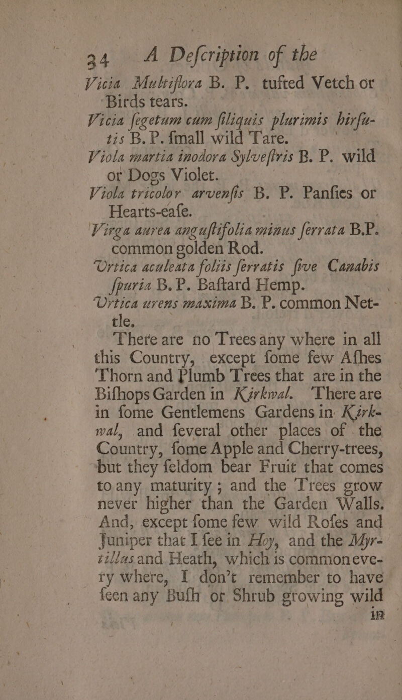 Vicia Mutiflora B. P. tufted Vetch or ‘Birds tears. ae , ; | Vicia {egetum cum filiquis plurimis hirfu- tis es {mall od Tate. oe Viola martia inodora Sylveftris B. P. wild or Dogs Violet. : : Viola tricolor arvenfis B. P. Panfies or Hearts-eafe. : : Virga aurea anguflifolia minus ferrata BP. common golden Rod. Urtica acaleata folits ferratis five Canabis fpuria B. P. Baftard Hemp. . Vyrtica uvens maxima B. P. common Net- Hen scgw There are no Treesany where in all this Country, except fome few Afhes Thorn and Plumb Trees that are in the Bifhops Garden in K¢grkwal. ‘Thereare in fome Gentlemens Gardens in K¢rk- wal, and feveral other places of . the Country, fome Apple and Cherry-trees, but they feldom bear Fruit that comes to any maturity ; and the Trees grow never higher than the Garden Walls. And, except fome few wild Rofes and Juniper that I fee in’ Avy, and the Mjr- tillasand Heath, which is commoneve- ty where, I don’t remember to have feen any Bufh or Shrub growing wild