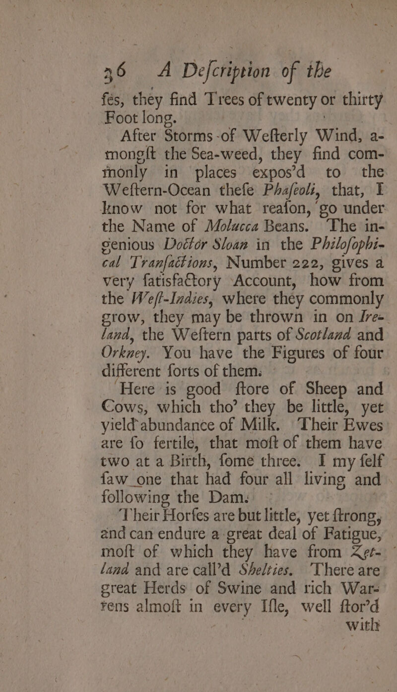 fés, they find Trees of twenty or thirty Foot long. | After Storms -of Wefterly Wind, a- mong{t the Sea-weed, they find com- monly in places expos’d to the Weftern-Ocean thefe Pha/feolz, that, I now not for what reafon, go under the Name of Molucca Beans. The in- senious Dotter Sloan in the Philofophi- cal Tranfactions, Number 222, gives a very fatisfactory Account, how from the We/f-Indies, where they commonly crow, they may be thrown in on Ire- land, the Weftern parts of Scotland and Orkney. You have the Figures of four different forts of them. — Here is good ftore of Sheep and Cows, which tho’ they be little, yet yield abundance of Milk. Their Ewes are fo fertile, that moft of them have two at a Birth, fome three. I my felf faw_one that had four all living and . following the Dam: , | Their Horfes are but little, yet ftrong, and can endure a great deal of Fatigue, moft of which they have from Z¢e-. ° land and are call’d Shelties. ‘There are creat Herds of Swine and rich War- rens almoft in every Ifle, well ftor’d with
