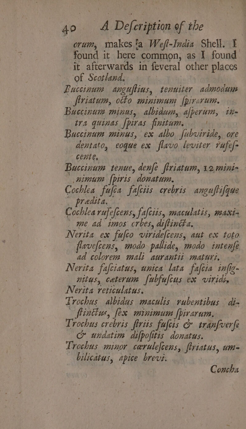 orum, makes ta Weft-India Shell. I found it here common, as I found it afterwards in feveral other places ‘of Scotland: ’ | Buccinum anguftius, tenuiter admodum . firiatum, otto minimum fpircrum. Buccinum minus, albidum, afperum, tn- tra quinas fpiras finitum. | Buccinum minus, ex albo fubviride, ore dentato, eoque ex flavo leviter rufef- Cente, ! Buccinum tenue, denfe firiatum, 12, mini- _, nimum {piris donatum. Cochlea fufca fafciis crebris anguftifque i PT RAGS he ois 3 : Cochlea rufefcens, fafciis, maculatis, meaxin _ me ad imos: crbes, diftinita, Nerita ex fufco viridefcens, aut ex toto flavefcens, modo pallide, modo intenfe ad colorem mali aurantit maturi, Nerita fafciatus, unica lata fafcia infig- nitus, caterum fubfufcus ex vitidt, Nerita reticulatus. asa Trochus albidus maculis rubentibus di- _ finkus, fex minimum fpirarum, Trochus crebris firiis fuftis &amp; tranfverfe &amp; undatim difpofitis donatus. | Trochus minor cerulefcens, ftriatus, um= bilicatus, apice brevi: | C sais
