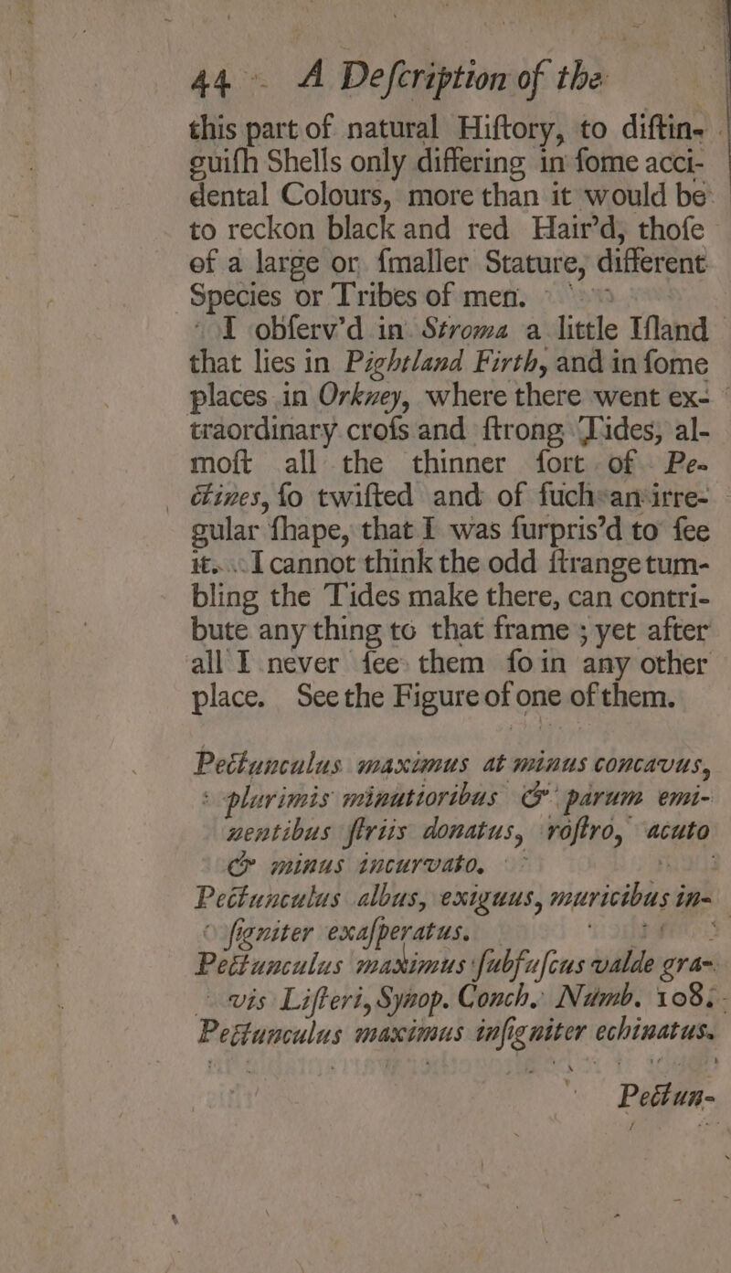 this part of natural Hiftory, to diftin- | suifh Shells only differing in fome acci- dental Colours, more than it would be. to reckon black and red Hair’d, thofe ef a large or {maller Stature, different Species or Tribes of men. © I obferv’d in Stroma a little Iland — that lies in Pightland Firth, and in fome places in Orkvey, where there went ex- traordinary crofs and ftrong “Tides, al- moft all the thinner fort of. Pe- _ &ines, fo twifted and of fuchsanirre- sular fhape, that I was furpris’d to’ fee it... I cannot think the odd itrange tum- bling the Tides make there, can contri- bute any thing to that frame ; yet after all I never fee them foin any other place. Seethe Figure of one of them. Pettunculus maximus at minus concavus, : —plurimis minutioribus & parum emi- nentibus firiis donatus, roftro, acuto Cy minus incurvato. ° ie ae Pettunculus albus, exiguus, muricibus in- figniter exafperatus, — 1 EPS Péttunculus makimus fubfufcus valde gran. vis Lifteri, Synop. Conch, Numb, 108.- Pegtunculus maximus tnfigniter echinatus. Pettun-