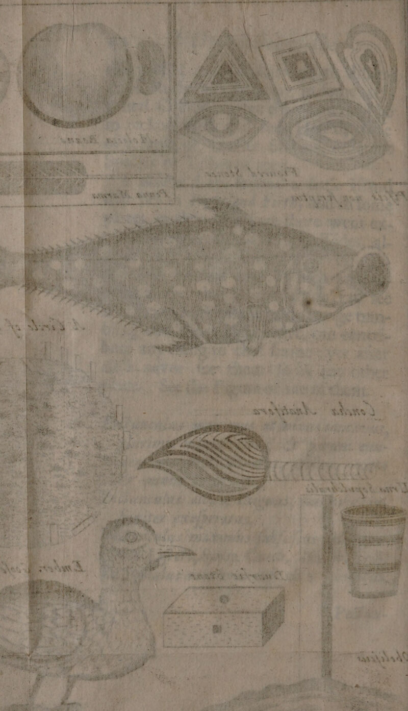 coset, enh. Ee So TO eae Nae Tt She be Bis SNE Des PRE». rei ae, 7 sh ¥ Pe. Yel