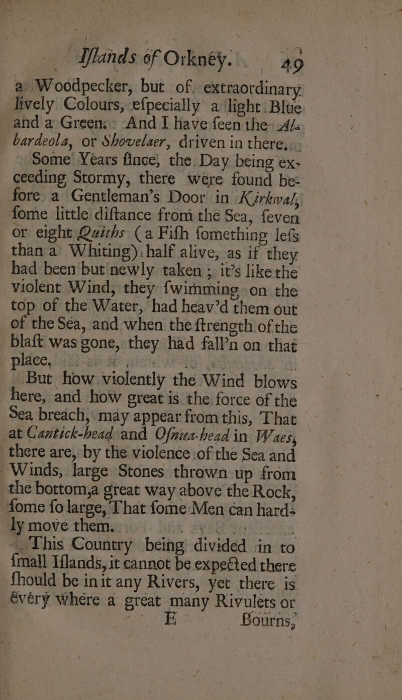 a Woodpecker, but of, extraordinary _ lively Colours, efpecially a light Blue and a Green: And I have feen the: A/ bardeola, or Shovelaer, driven in there,,. Some’ Years fince, the. Day being ex- ceeding Stormy, there were found be: fore a Gentleman’s Door in Kérkwa/, fome little diftance from the Sea, feven or eight Quiths (a Fith fomething lefs than a Whiting); half alive, as if they had been but newly taken ;. it’s like the violent Wind, they {wirnming on the top of the Water, had heav’d them out of the Sea, and when the ftrength of the blaft was gone, they had fall’n on that place, acl ebat wise VF AG) BAL ch But how violently the Wind blows here, and how great is the force of the Sea breach, may appear from this, That at Cantick-head and Ofnua-head in Waes, there are, by the violence :of the Sea and Winds, large Stones thrown up from the bottom,a great way above the Rock, fome fo large, That fome Men can hard: Bmore theta io bak eye Yanks __ This Country being divided in to {mall Iflands, it cannot be expected there fhould be init any Rivers, yet there is €véry Where a great many Rivulets or maths BG Bourns, |