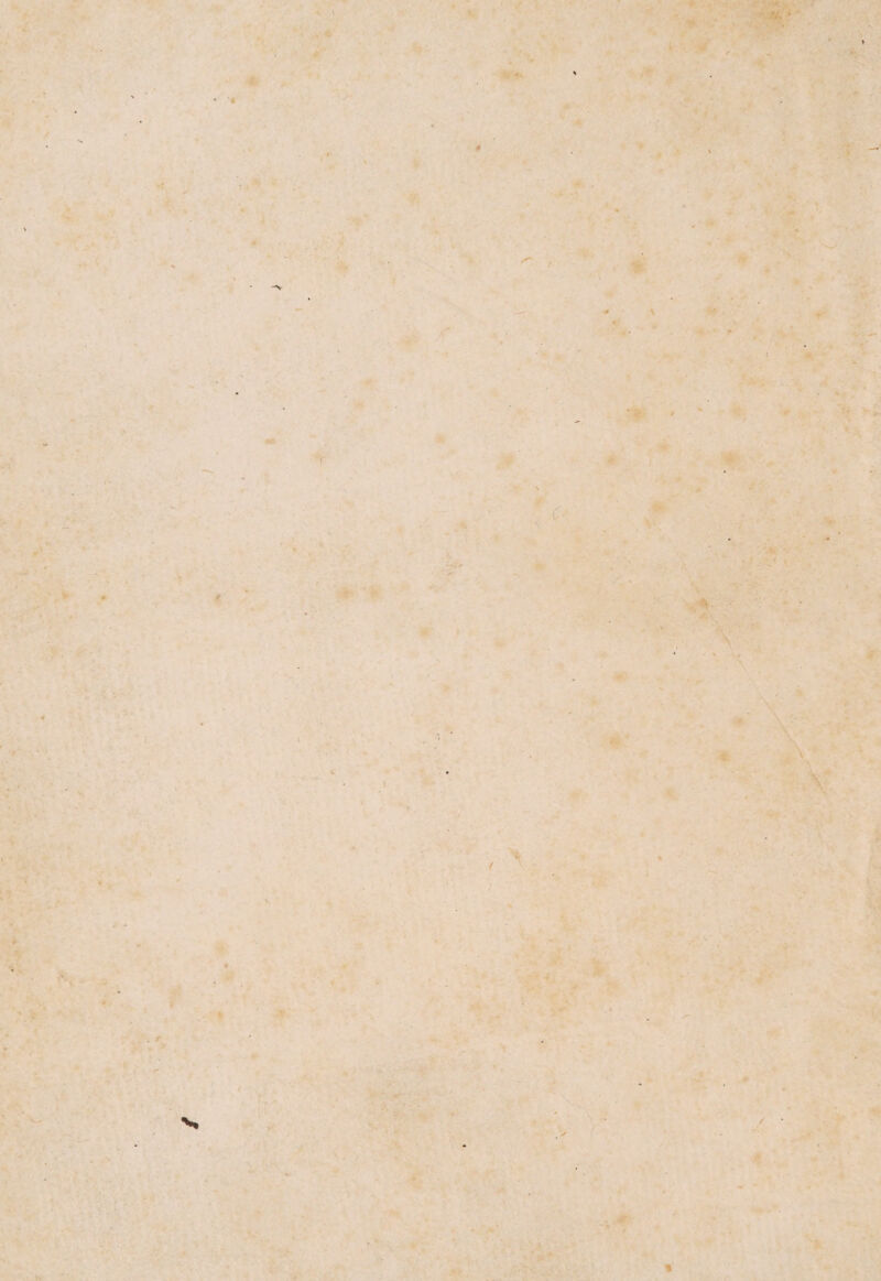 \ t (■ - * t . r N, / * y