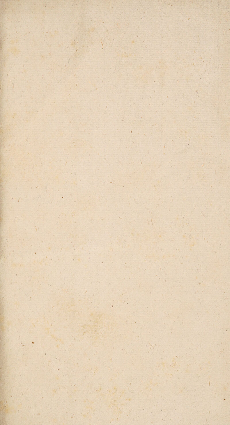 I ■ i ' I ■ V : v ^ , l