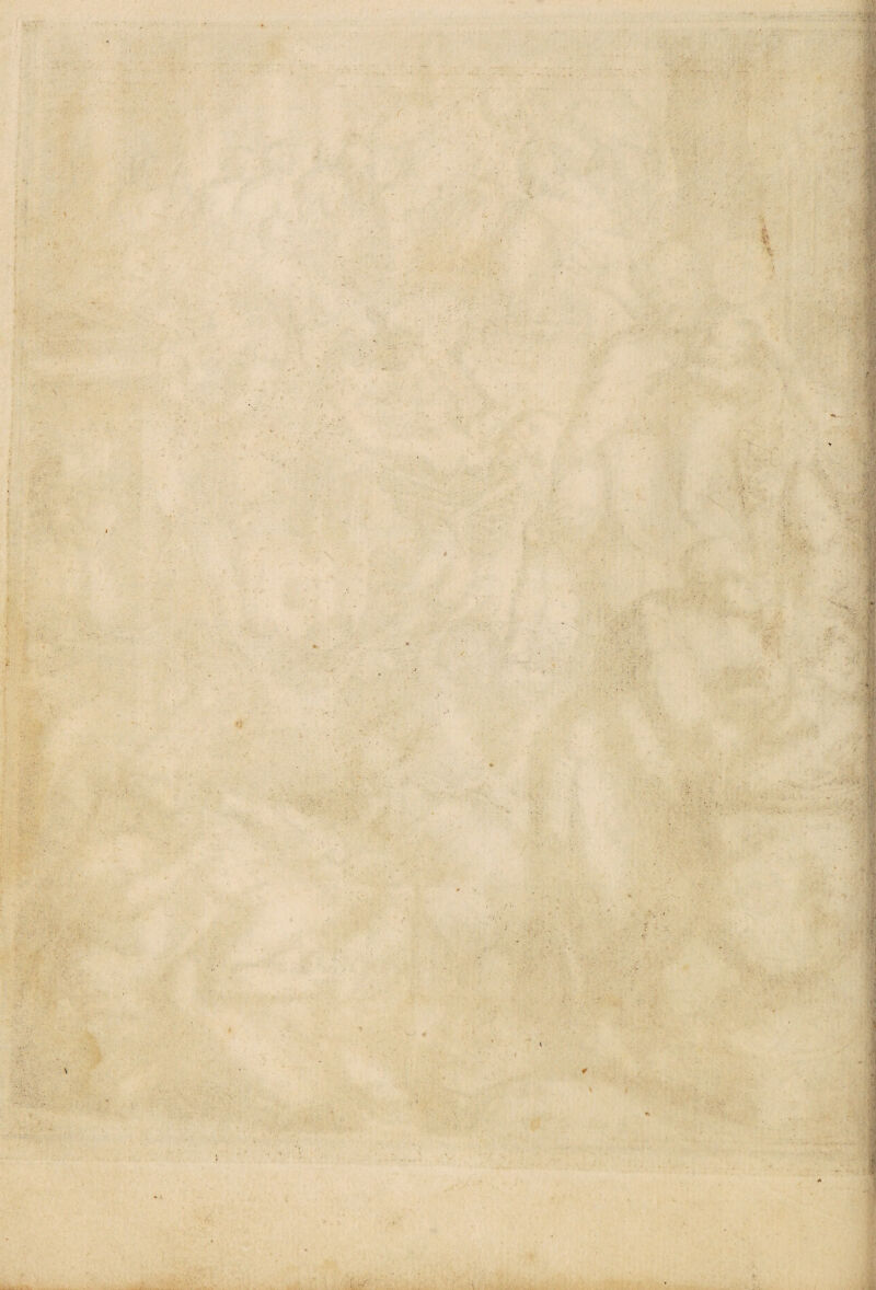 ’