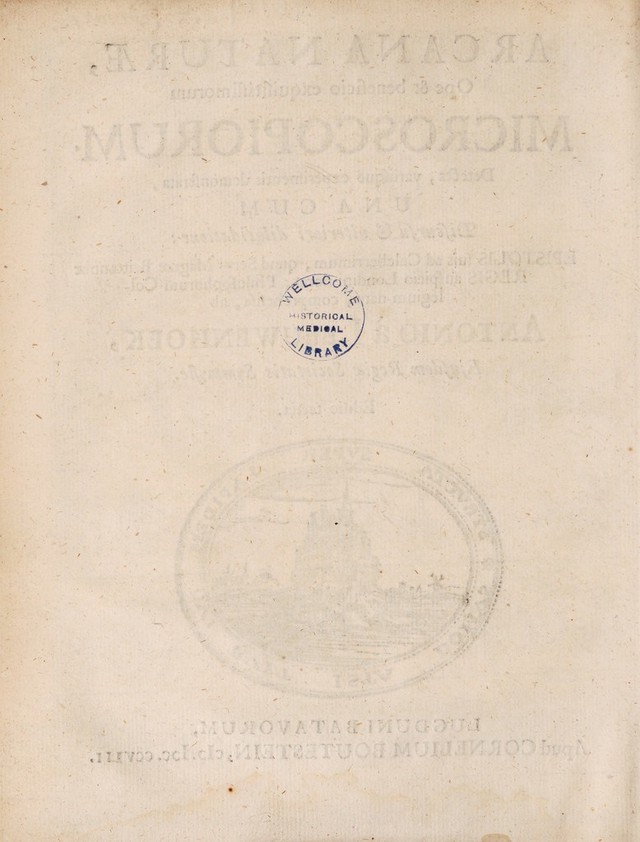 digitised image 2