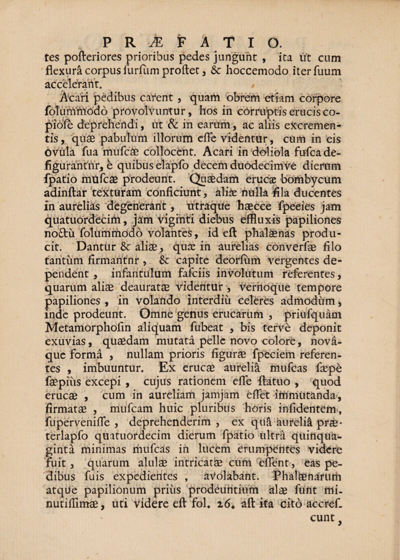 tes pofteriores prioribus pedes jungunt , ita ut cum flexurä corpus furfiim proflet, & hoccemodo iterfuum accelerant. M ° _ c Acari pedibus carent , quam obrem etiam corpore foTumhiödö provolvuntur, hos in corruptis erucis co- piofe deprehendi, ut & in earum, ae aliis excremen¬ tis, quae pabulum illorum effe videntur, cum in eis Ovula fua rnufcäe collocent. Acari in doliola fufea de- figurantnr, e quibus elapfo decem duodecimve dierum fpatio mufeae prodeunt. Quaedam erucas bombycum adinftar texturam conficiunt, alias nulla fila ducentes in aureliäs degenerant, xitraque haecce fpeeies jam quatuordecim, jam viginti diebus effluxis papiliones noftü folummodo volantes, id eft phalaenas produ¬ cit. Dantur & aliae, quas in aurelias converfae filo tantum firmantnr , & capite (febrium vergentes de¬ pendent , infantulum fafeiis involutum referentes, quarum aliae deauratae videntur , verhoque tempore papiliones, in volando interdiu celeres admodum, inde prodeunt. Omne genus erucarum , priufquäm Metamorphofin aliquam fubeat , bis terve deponit exuvias, quaedam mutata pelle novo colore, nova¬ que forma , nullam prioris figurae fpeciem referen¬ tes , imbuuntur. Ex erucae aureliä mufeas fiepe faepiüs excepi , cujus rationem effe ftatuo , quod erucae , cum in aureliam jamjam effet immutanda, firmatae , mufeam huic pluribus horis infidentetn, fuperveniffe , deprehenderim , ex qua aureliä prae- terlapfo quatuordecim dierum fpatio ultra quinqua¬ ginta minimas mufeas in lucem erumpentes videre fuit, quarum alulae intricatae cum eflent, eas pe¬ dibus fuis expedientes , avolabant. Phal denarum atque papilionum priiis prodeuntium alae funt mi- nutillimae, uti videre eft foh 16+ aft ita cito äccrefi cunt.