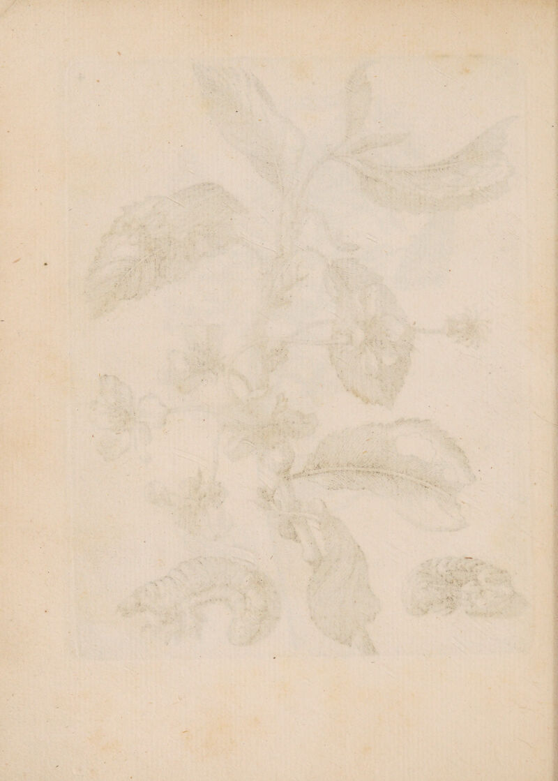 / . V /:■ ■ •V :-V . i ' -, /