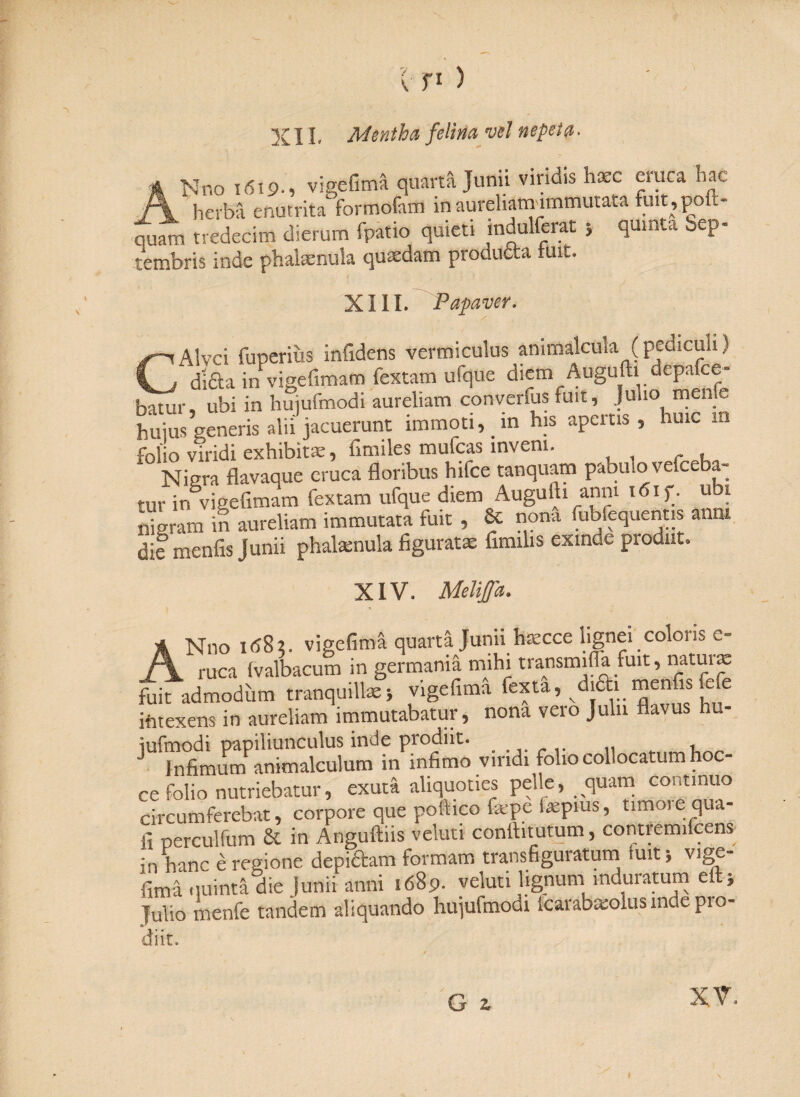 Nno 161p., vigefimä quarta Junii viridis haec eruca hac I \ herba enutrita formofam inaurehatmmmutata fim,poit- auam tredecim dierum fpatio quieti induUerat j quinta Sep¬ tembris inde phal»nula qu»dam produtta tuit. XIII. Papaver, : Alvei fuperiiis infidens vermiculus animalcula (pediculi) v / d'iäa in vigefimam Textam ufque diem Augufti depafce- batur, ubi in hujufmodi aureliam converfus fuit, Julio menfe huius generis alii jacuerunt immoti, in his apertis , hinc m folio viridi exhibita:, fmiiles mufeas inveni. Nigra flavaque eruca floribus hifce tanquam pabuto vefteba- rur in vigefimam fextam ufque diem Augufti anm idif. ubi nigram in aureliam immutata fuit , 8c nona fubfequenus anni die menfis Junii phal»nula figurat» fimilis exinde prodiit. XIV. MeliJJa. A Nno i <58 5. vigefimä quarta Junii haecce lignei coloris e racaJvalbacum in germania mihi trimsmiflii fuit, muun C” / x raca ivaioacuiij n, germama mini i.ausuuua natur» fuit admodum tranquill» i vigefimä fexta, diai menfis ftfe intexens in aureliam immutabatur, nona vero Julii flavus nu- 'SSSÄ'S viridi folio collocatum hoc- ce folio nutriebatur, exuta aliquoties pelle, quam continuo circumferebat, corpore que poftico fiepe i»pius, timoie qua- ii perculfiim & in Anguftiis veluti conftitutum, contremifcens in hanc e regione depiftam formam transfiguratum tuit; vige- fimä uuintä die Junii anni 1689. veluti lignum induratum e » Julio menfe tandem aliquando hujufmodi icarabxolus inde pio» di it» G z, XV.