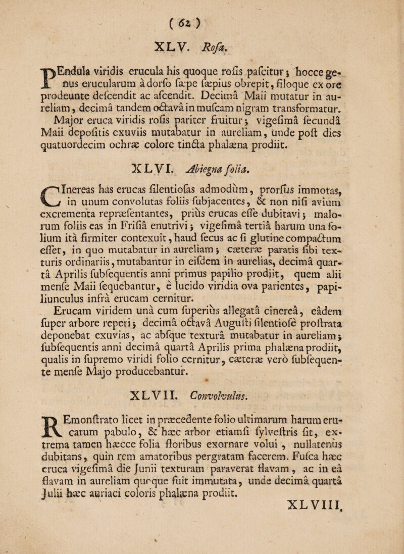 (6l) XLV. Roß. PEndula viridis erucula his quoque rofis pafcitur 5 hocce ge¬ nus erucularum ädorfo fa*pe fepius obrepit, filoque ex ore prodeunto defcendit ac afcendit. Decimä Mai i mutatur in au- rei tam, decimä tandem odtavä in mufcamnigram transformatur. Major eruca viridis rofis pariter fruiturj vigefimä fecundä Maii depofitis exuviis mutabatur in aureliam, unde poft dies quatuordecim ochrse colore tincia phal^na prodiit. X L VI. Abkgna folia. Cinereas has erucas filentiofas admodum , prorfus immotas, in unum convolutas foliis fubjacentes, non nili avium excrementa repraefentantes, prius erucas efie dubitavi 3 malo¬ rum foliis eas in Frida enutrivi 3 vigefimä tertia harum una fo¬ lium ita firmiter contexuit, haud fecus ac fi glutine compadtum efiet, in quo mutabatur in aureliam 3 cseterse paratis fibi tex¬ turis ordinariis,mutabantur in eifdem in aurelias, decima quar¬ ta Aprilis fubfequentis anni primus papilio prodiit, quem alii menfe Maii fequebantur, e lucido viridia ova pavientes, papi¬ liunculus infra erucam cernitur. Erucam viridem una cum fuperius allegata cinerea, eadem fuper arbore repeti 3 decima odiava Augulti filentiofe profbrata deponebat exuvias, ac abfque textura mutabatur in aureliam y fubfequentis anni decima quarta Aprilis prima phalasna prodiit, qualis in fu premo viridi folio cernitur, caeteras vero fubfequen- te menfe Majo producebantur. te X L V11. C onvohulus. REmonftrato licet in pnecedente folio ultimarum harum eru¬ carum pabulo, 6c hrec arbor etiamfi fylveflris fit, ex¬ trema tamen ha^cce folia floribus exornare volui , nullatenus dubitans, quin rem amatoribus pergratam facerem. Fufca haac eruca vigefimä die Junii texturam paraverat flavam , ac in eä flavam in aureliam qurquc fuit immutata, unde decima quarta j ulli haec auriaci coloris phalaena prodiit. XL VIII,