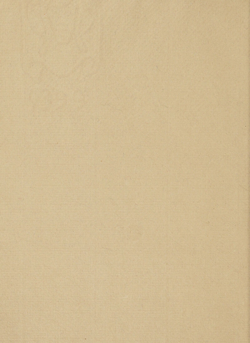 ■ ' *' •^ r w*'', /; • ,■ - •• . & V • *-'S ?; '’•'*< •' ' ■' -'r' V-i'. X-k yK.Ufr?- :■ ■% - . - 1 ■.. :... . -, ■'•. ■. ;• ■: ■„, : - v f - • .  . '■ ) ■ * f ' : / ’ ' - ' «'''* •- 1 : '.?• '. '• \; •. • , ’ ‘ ..•> • , \ S :f:; • . ' ' J *:■ ■;■ -;v • • ... ■■■:■ -’x . :: v. ;■ ; :, ,, ■ ,,/ ' , V, - . - ' • ' v ' . ■ .- :;-i. .. „•; :■ -> ; ,, ..... , - ..... :■ i.,..... ......... 1 . ... , i < ..... ;.. . ...... .. ....... ... ^ ^ ' 1 s>. ... ' ... ■ \: ...... .. ... ' . . . ,.. , 1 )vr; '. . \ .. .' .. ;  - v -'V,\'. .> -v.*. . - , A -.. -J ’ v, 7':777/7;.'.7 '-V' >' 7 17777,'^^'7'7-:';\: . . ; : ■ ■ t • < •• y:. .••• ;••• •• - I. • . . , ' • ,.■< •• . * 7 ;' r... : . - . V;' ’ V., ■ ■■ ; - .... 1 . ... i :■■■'■.. ‘ .... '.-.W,; :0'' . ''i:-5,' .... , ... .... ..... ; ... .. ■’. •• : .... i;..'.'. ü1'* v , - , : %.t ■: : i-. -■ . • ■; ■ . ;■ / ■ 1 ■, .. ■■ -■ .■/ ■ ^ .. : 1 , ■ : . . • ' ,/f. • . . '.V ., .... f .. ' hr>. ' ■ • •. ■■■:/• „ - .. ' ■■ - ■. \. , 1 N .. - . * S ■ • ' ■ : . -,xx.i-, ■ v'-v.. .. . .... ...... ■- ., , ., .- >. : •. v • , ■ : . • ... ..' . ... ' . ; 1 ■ . . 'Sk:-. . . ' . . - ■' . '■'! '....' : . ... .■' V , ; - ’,. ■ ••• ... . . -• . , .  ■- ... ;;4 ... v. . 's-'./ ....... 1 ' . ..-i I *, / •• ■ '• '••• ■ ' ■ 'm. ' .. J. . • ■ ■;* .. • • s- : . ,. ; . .. ;; . : ' >V. JV’ ;  • 1 ... ,  .: 'S.'J: '■ '■ iv...,:.y. • : • ■■■■ ' • .. * ■ ■ ■■■■ 1 „■ 1  i•; - ■ ;' ' ’ y ' ' ’; v. -. .... r ... .... ..... .'i .■'■ ■ - ' ’... ’... . >' ' ... .' .. . ... ' : .. ■'! . r ... ; . ’■  , . . >»• 1 ' 1 • ;  •*. .■: . •' ■ ;C 'V ... 4 ........ <>? •> . ■. • * ■ -v:; :•. ^ 'v' ■; vji m ' % ;i:; • . ■ ••• . 1 • ■■ i • - 'V;:v ' ' ' , ■ : ■ ........ . .... . '. .' - J . ..... ., :,... , ; . ' 'S5 >• • ''V1. V. ■ .•r'N <. . :v. v)- .  ' / -r 1 • •' ■  'S.''.''. • :■ ■ .• : • !•■; ■ > v . . .. 1 ’V .... ..... ....... , ....... ,.. .; 'I ■' .... ...■„ ■■■' .•v., •• n' .•?; X ■■*$) ■■■■.< ... f . . ..... ... . . ...... ... . I ..... .'. ..' ■ . • . V. ..... . ..'v . ■ ■ t — ' ' ...; > . . ... . . 1 . ■tv  ;>'• •’ • k v ■,, . -ii ■  ■' .. - : ... ., ' . ■m