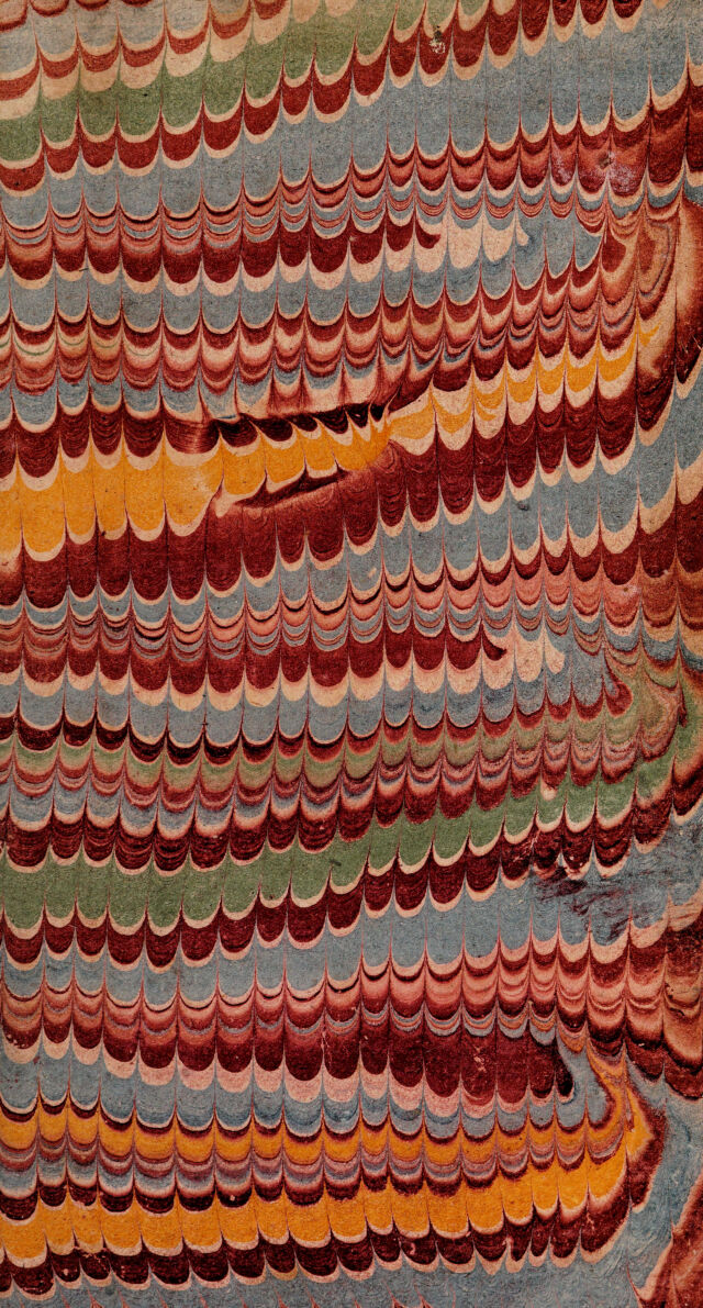 No text description is available for this image