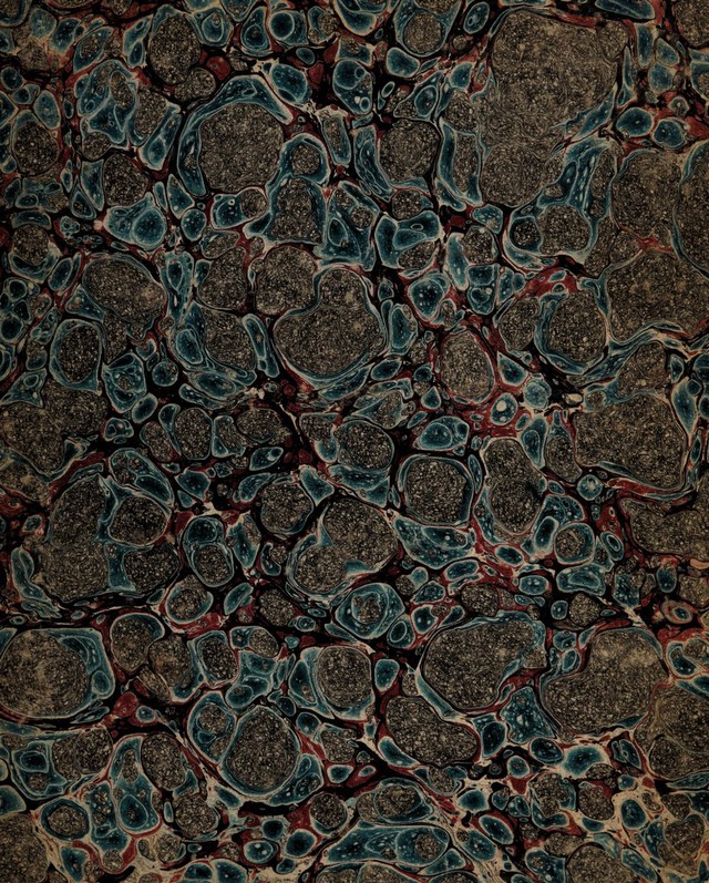 No text description is available for this image