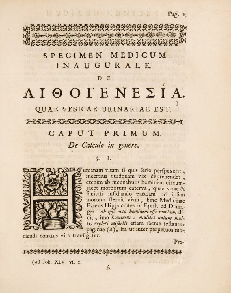 Pag- 1: SPECIMEN MEDICUM INAUGURALE. D E A I © O r E N E 2 I A. 1 Q.UAE VESICAE URINARIAE EST. CAPUT P R I M U M, De Calculo m genere. §. I. umanam vitam fi quis ferio perfpexerit incertius quidquam vix deprehendet , etenim a:b incunabulis hominem circum¬ jacet morborum caterva , quae vitae & fanitati infidiando patulam ad ipfani mortem firernit viam , hinc Medicinae Parens Hippocrates in Epifi. ad Dama- get. ah ipfo ortu honiinem e£'e worhum di¬ cit 5 imo hominem e muliere natum mul-’ tis repleri miferiis etiam facrae teftantur paginae (^), ita ut inter perpetuos mo¬ riendi conatus vita tranfigatur, Pra- («) Job. XIV. vf. I. • ■ A