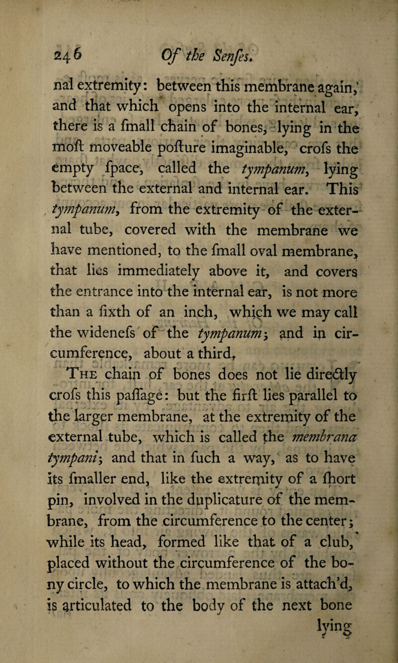 nal extremity : between this membrane again,' and that which opens into the internal ear, there is a fmall chain of bones, lying in the moft moveable pofture imaginable, crofs the empty fpace, called the ty?npanum, lying between the external and internal ear. This tympanum, from the extremity of the exter¬ nal tube, covered with the membrane we have mentioned, to the fmall oval membrane, that lies immediately above it, and covers the entrance into the internal ear, is not more than a fixth of an inch, which we may call the widenefs of the tympanum ; and in cir¬ cumference, about a third, The chain of bones does not lie diredly crofs this paffage: but the firft lies parallel to the larger membrane, at the extremity of the external tube, which is called the membrana tympanic and that in fuch a way, as to have its fmaller end, like the extremity of a fhort pin, involved in the duplicature of the mem¬ brane, from the circumference to the center; while its head, formed like that of a club, placed without the circumference of the bo¬ ny circle, to which the membrane is attach’d, is articulated to the body of the next bone tying