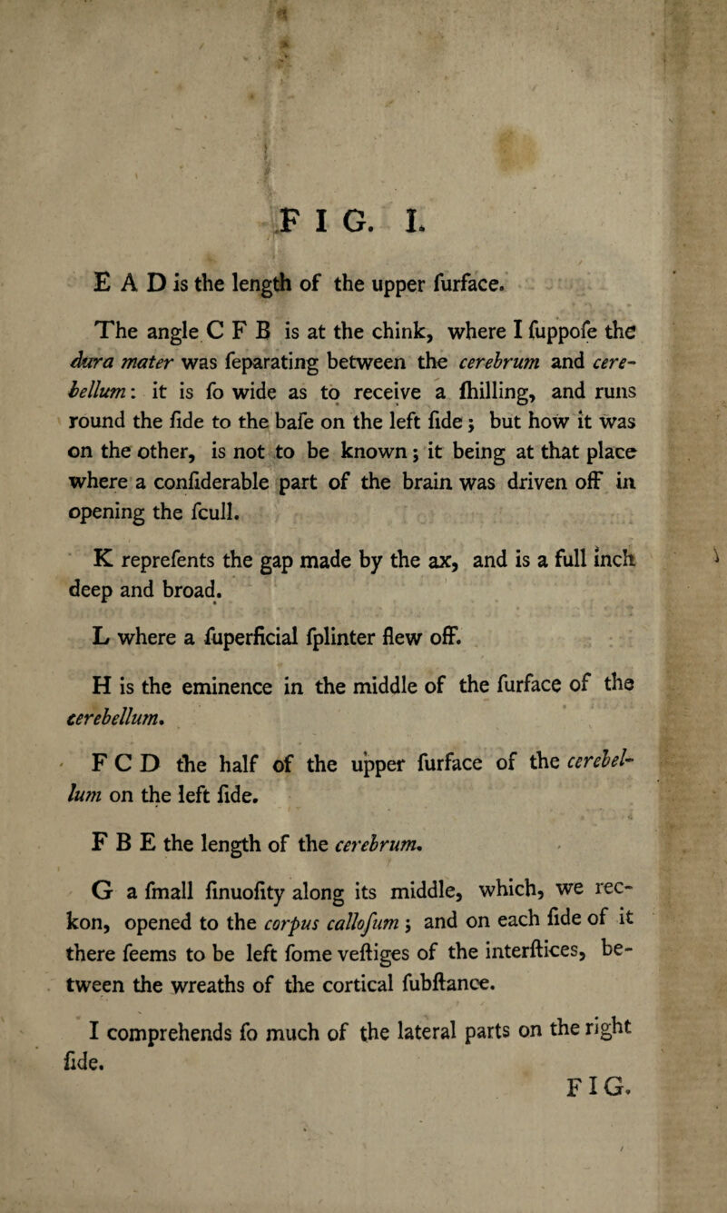 .* I w FIG. I. E A D is the length of the upper furface. The angle C F B is at the chink, where I fuppofe the Aura mater was feparating between the cerebrum and cere¬ bellum : it is fo wide as to receive a (hilling, and runs round the fide to the bafe on the left fide; but hoW it was on the other, is not to be known; it being at that place where a confiderable part of the brain was driven off in opening the fcull. K reprefents the gap made by the ax, and is a full inch deep and broad. L where a fuperficial fplinter flew off. H is the eminence in the middle of the furface of the cerebellum. F C D the half of the upper furface of the cerebel¬ lum on the left fide. F B E the length of the cerebrum, G a fmall finuofity along its middle, which, we rec¬ kon, opened to the corpus callofum; and on each fide of it there feems to be left fome veftiges of the interftices, be¬ tween the wreaths of the cortical fubftance. I comprehends fo much of the lateral parts on the right fide. FIG.
