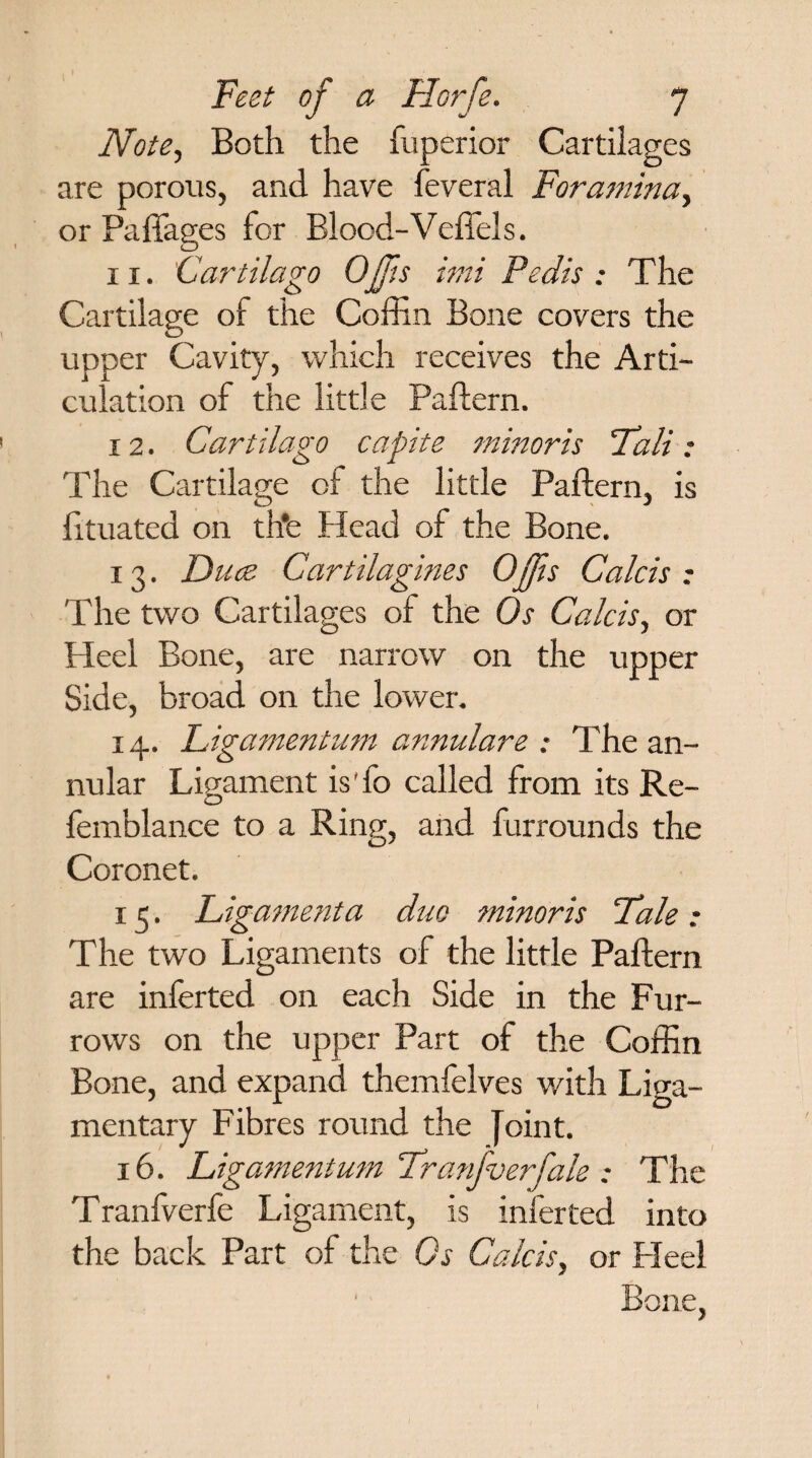 Note, Both the fuperior Cartilages are porous, and have feveral Foramina, or Paffages for Blood-Veffels. 11. Cartilago Offs imi Pedis : The Cartilage of the Coffin Bone covers the upper Cavity, which receives the Arti¬ culation of the little Paftern. 12. Cartilago capite minoris Pali: The Cartilage of the little Paftern, is fituated on th*e Head of the Bone. 13. Duce Cartilagines Offs Calcis : The two Cartilages of the Os Calcis, or Heel Bone, are narrow on the upper Side, broad on the lower. 14. Ligamentum annulare : The an¬ nular Ligament is'fo called from its Re- femblance to a Ring, and furrounds the Coronet. 15. Ligament a duo minoris Pale • The two Ligaments of the little Paftern are inferted on each Side in the Fur¬ rows on the upper Part of the Coffin Bone, and expand themfelves with Liga¬ mentary Fibres round the Joint. 16. Ligamentum Tranfverfale : The Tranfverfe Ligament, is inferted into the back Part of the Os Calcis, or Heel Bone,