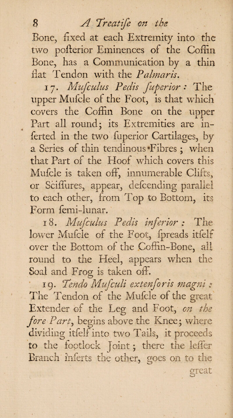 Bone, fixed at each Extremity into the two pofterior Eminences of the Coffin Bone, has a Communication by a thin flat Tendon with the Palmar is. 17. Mufcuius Pedis fuperior * The upper Mufcie of the Foot, is that which covers the Coffin Bone on the upper Part all round- its Extremities are in- ferted in the two fuperior Cartilages, by a Series of thin tendinous‘Fibres; when that Part of the Hoof which covers this Mufcie is taken off, innumerable Clifts, or Sciffures, appear, defcending parallel to each other, from Top to Bottom, its Form femi-lunar. 18. Mufculus Pedis inferior: The lower Mufcie of the Foot, fpreads itfelf over the Bottom of the Coffin-Bone, all round to the Heel, appears when the Soal and Frog is taken off. O ig. Tendo Mufculi extenforis magni ; The Tendon of the Mufcie of the great Extender of the Leg and Foot, on the fore Part, begins above the Knee; where dividing itfelf into two Tails, it proceeds to the foptlock Joint; there the leffer Branch inferts the other, goes on to the great