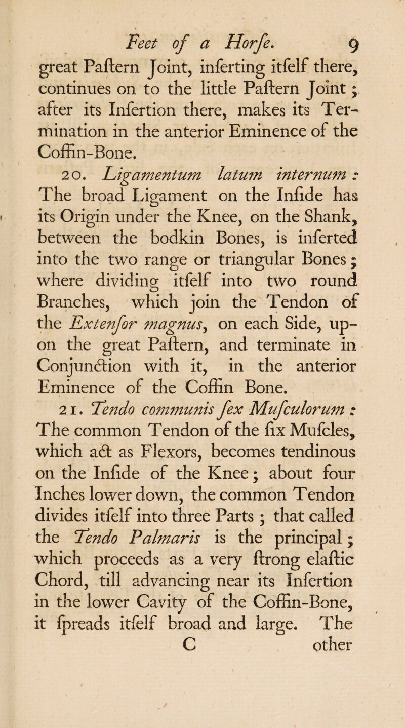 great Pattern Joint, inferring itfelf there, continues on to the little Pattern Joint; after its Infertion there, makes its Ter¬ mination in the anterior Eminence of the Coffin-Bone. 20. Ligamentum latum internum * The broad Ligament on the Inttde has its Origin under the Knee, on the Shank, between the bodkin Bones, is inferted into the two range or triangular Bones ; where dividing itfelf into two round G Branches, which join the Tendon of the Extenfor magnus, on each Side, up¬ on the great Pattern, and terminate in Conjunction with it, in the anterior Eminence of the Coffin Bone. 21. Fendo communis fex Mufculorum : The common Tendon of the ttx Mufcles, which aCt as Flexors, becomes tendinous on the Inttde of the Knee; about four Inches lower down, the common Tendon divides itfelf into three Parts ; that called the Fendo Palmaris is the principal; which proceeds as a very ftrong elaftic Chord, till advancing near its Infertion in the lower Cavity of the Coffin-Bone, it fpreads itfelf broad and large. The C other