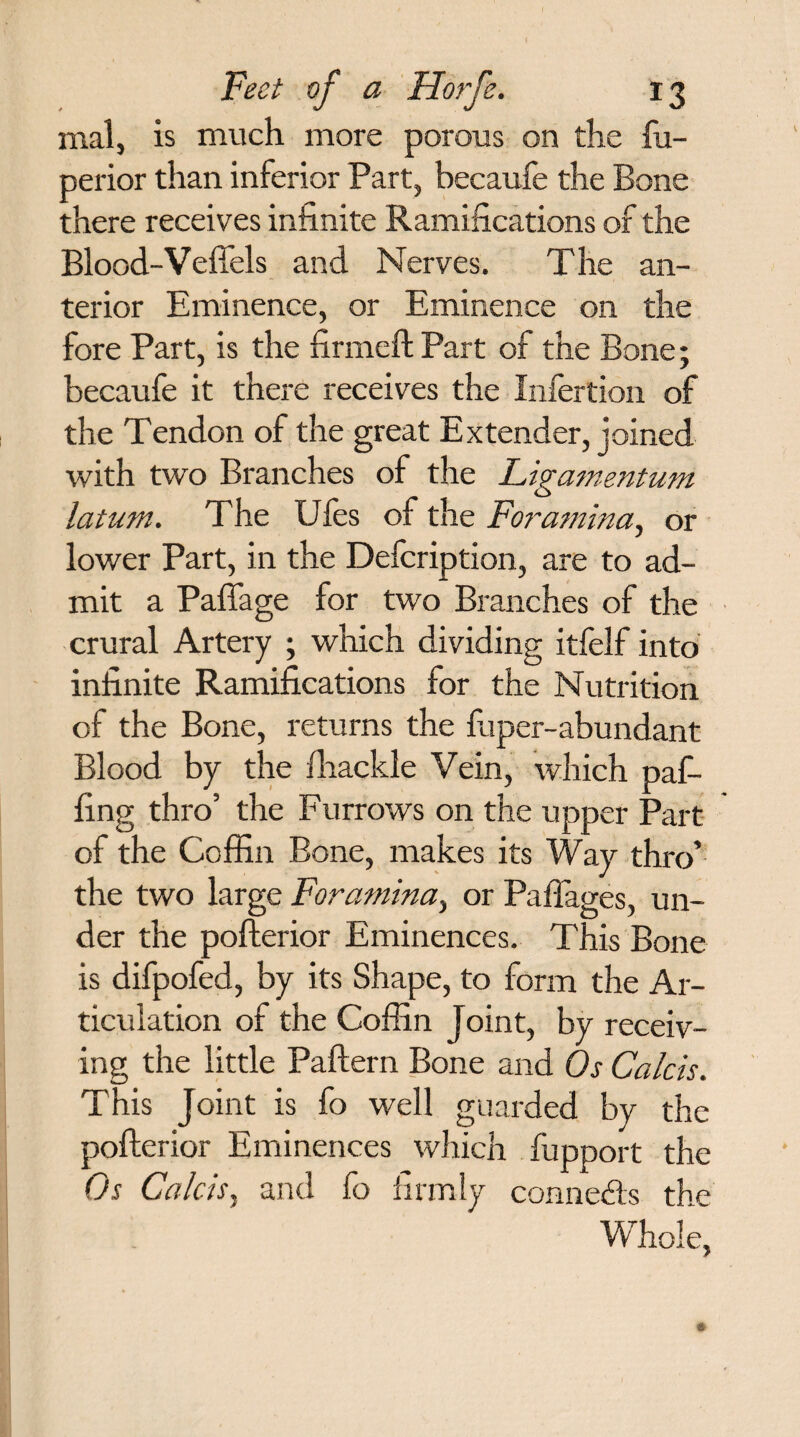 malj is much more porous on the fu- perior than inferior Part, becaufe the Bone there receives infinite Ramifications of the Blood-Veftels and Nerves. The an¬ terior Eminence, or Eminence on the fore Part, is the firmed Part of the Bone; becaufe it there receives the Infertion of the Tendon of the great Extender, joined with two Branches of the Ligamentum latum. The Ufes of the Foramina, or lower Part, in the Defcription, are to ad¬ mit a Pafiage for two Branches of the crural Artery ; which dividing itfelf into infinite Ramifications for the Nutrition of the Bone, returns the hiper-abundant Blood by the fhackle Vein, which pafi- fing thro’ the Furrows on the upper Part of the Coffin Bone, makes its Way thro’ the two large Foramina, or Paflages, un¬ der the pofterior Eminences. This Bone is difpofed, by its Shape, to form the Ar¬ ticulation of the Coffin Joint, by receiv¬ ing the little Paftern Bone and Os Calcis. This Joint is fo well guarded by the pofterior Eminences which fupport the Os Calcis, and fo firmly connects the Whole,
