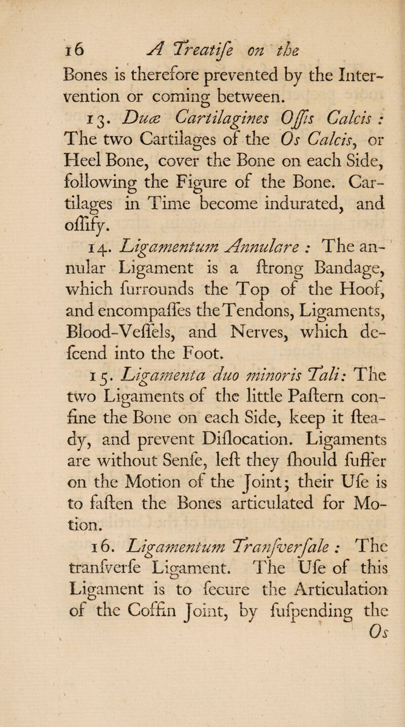 Bones is therefore prevented by the Inter¬ vention or coming; between. O 13. Duce Cartilagines Qjfis Calcis : The two Cartilages of the Os Calcis, or Heel Bone, cover the Bone on each Side, following the Figure of the Bone. Car- in Time become indurated, and 14. Ligamentum Annulare : The an¬ nular Ligament is a ftrong Bandage, which furrounds the Top of the Hoof, and encompalfes the Tendons, Ligaments, Blood-Veffels, and Nerves, which dc- fcend into the Foot. 15. Ligament a duo minor is ‘Tali: The two Ligaments of the little Paftern con¬ fine the Bone on each Side, keep it Hea¬ dy, and prevent Diflocation. Ligaments are without Senfe, left they fhould fuft'er on the Motion of the Joint; their Ufe is to fallen the Bones articulated for Mo¬ tion. 16. Ligamentum Tranfverfale : The traniverfe Ligament. The Ufe of this Ligament is to fecure the Articulation of the Coffin Joint, by fufpending the