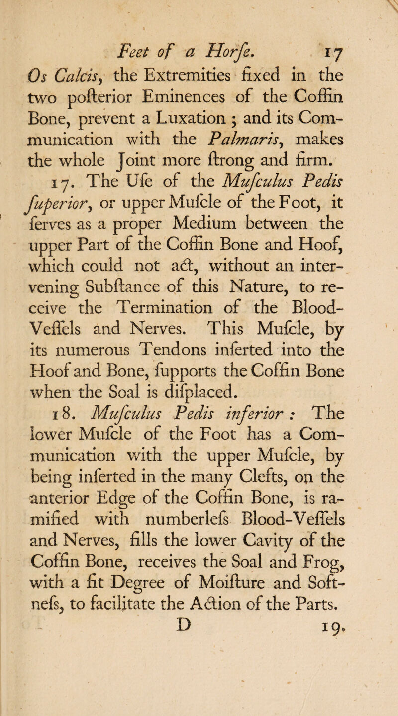 Os Calcis, the Extremities fixed in the two pofterior Eminences of the Coffin Bone, prevent a Luxation ; and its Com¬ munication with the Palmar is, makes the whole Joint more ftrong and firm. 17. The Ufe of the Mufcuius Pedis fuperior, or upper Muf'cle of the Foot, it ferves as a proper Medium between the upper Part of the Coffin Bone and Hoof, which could not ad:, without an inter¬ vening Subftance of this Nature, to re¬ ceive the Termination of the Blood- Veffels and Nerves. This Mufcle, by its numerous Tendons inferted into the Eloof and Bone, fupports the Coffin Bone when the Soal is difplaced. 18. Muf cuius Pedis inferior: The lower Mufcle of the Foot has a Com¬ munication with the upper Mufcle, by being inferted in the many Clefts, op the anterior Edge of the Coffin Bone, is ra¬ mified with numberlefs Blood-Veffels and Nerves, fills the lower Cavity of the Coffin Bone, receives the Soal and Frog, with a fit Degree of Moiflure and Soft- nefs, to facilitate the Adion of the Parts. D 19.