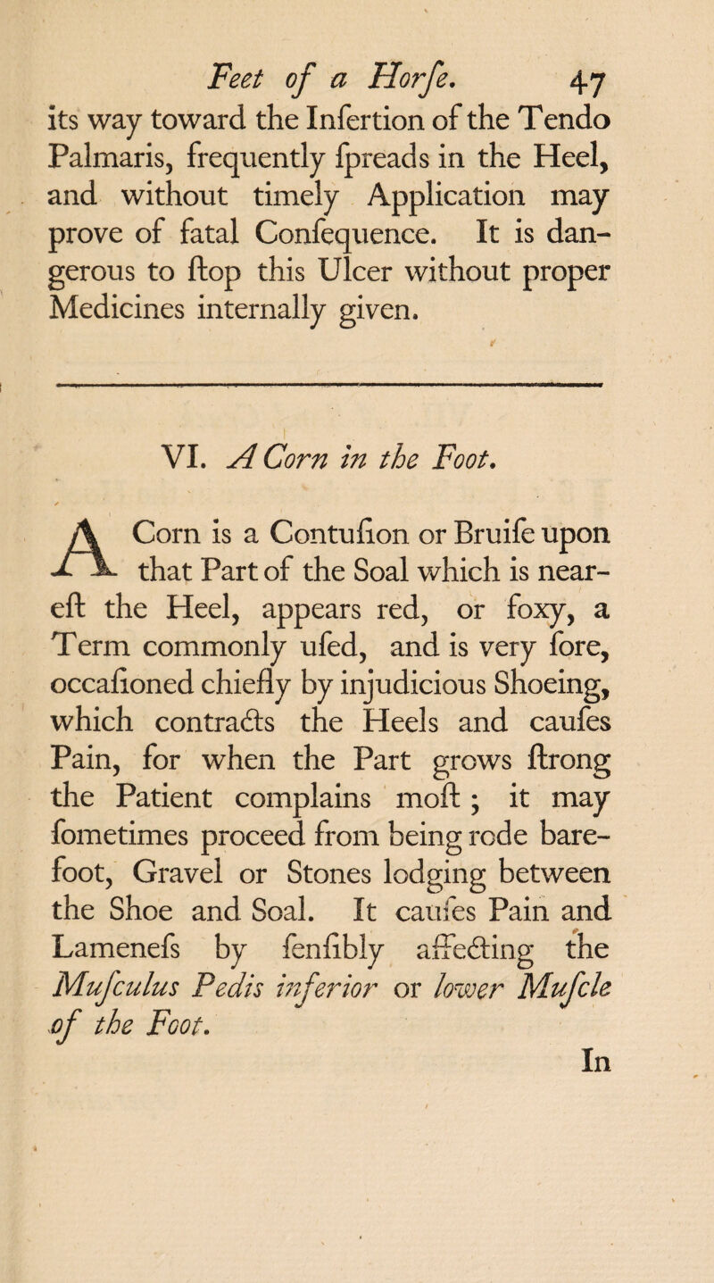 its way toward the Infertion of the Tendo Palmaris, frequently fpreads in the Heel, and without timely Application may prove of fatal Confequence. It is dan¬ gerous to flop this Ulcer without proper Medicines internally given. VI. ACorn in the Foot. ACorn is a Contuflon or Bruife upon that Part of the Soal which is near- eft the Heel, appears red, or foxy, a Term commonly ufed, and is very fore, occasioned chiefly by injudicious Shoeing, which contrails the Heels and caufes Pain, for when the Part grows ftrong the Patient complains moft; it may Sometimes proceed from being rode bare¬ foot, Gravel or Stones lodging between the Shoe and Soal. It caufes Pain and Lamenefs by fenftbly affecting the Mufculus Pedis inferior or lower Mufcle of the Foot.