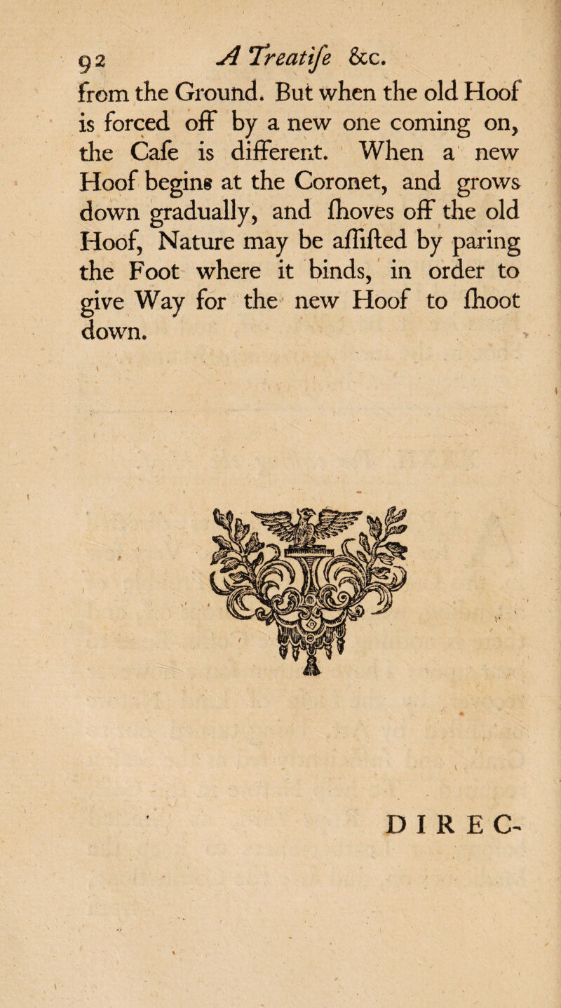 g2 A Treatife &c. from the Ground. But when the old Hoof is forced off by a new one coming on, die Cafe is different. When a new Hoof begins at the Coronet, and grows down gradually, and fhoves off the old Hoof, Nature may be affifted by paring the Foot where it binds, in order to give Way for the new Hoof to fhoot down. DIR EC- \