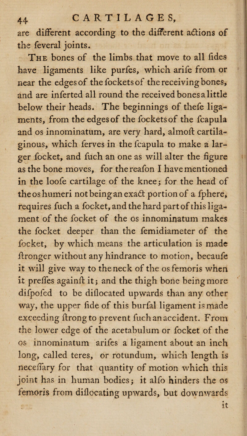 are different according to the different a&ions of the feveral joints. The bones of the limbs that move to all fides have ligaments like purfes, which arife from or near the edges of thefocketsof the receiving bones, and are inferted all round the received bones a little below their heads. The beginnings of thefe liga¬ ments, from the edges of thefocketsof the fcapula and os innominatum, are very hard, almoft cartila¬ ginous, which ferves in the fcapula to make a lar¬ ger focket, and fuch an one as will alter the figure as the bone moves, for thereafon I have mentioned in the loofe cartilage of the knee; for the head of the os humeri not being an exadt portion of a fphere, requires fuch a focket, and the hard part of thisliga-* ment of the focket of the os innominatum makes the focket deeper than the femidiameter of the focket, by which means the articulation is made ftronger without any hindrance to motion, becaufe it will give way to the neck of the osfemoris when it preffes againft it; and the thigh bone being more difpofed to be diflocated upwards than any other way, the upper fide of this burfal ligament is made exceeding ftrongto prevent fuch an accident. From the lower edge of the acetabulum or focket of the os innominatum arifes a ligament about an inch long, called teres, or rotundum, which length is necefiary for that quantity of motion which this joint has in human bodies; it alfo hinders the os femoris from diflocating upwards, but downwards .r . it