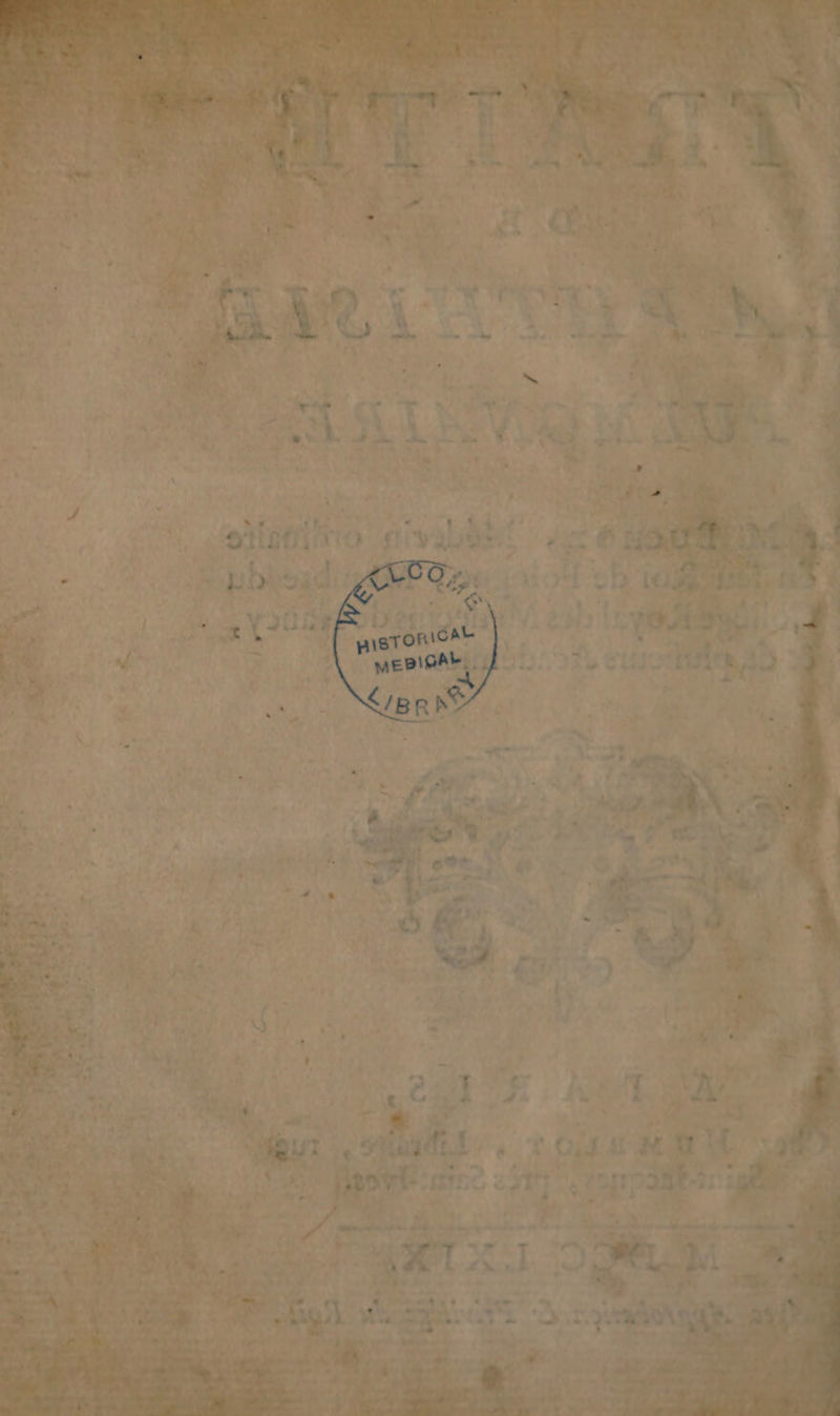 Æ À { gt —… Li 1 2 #0 Stinto d 1É1 y RL ‘ : * À * mt ..