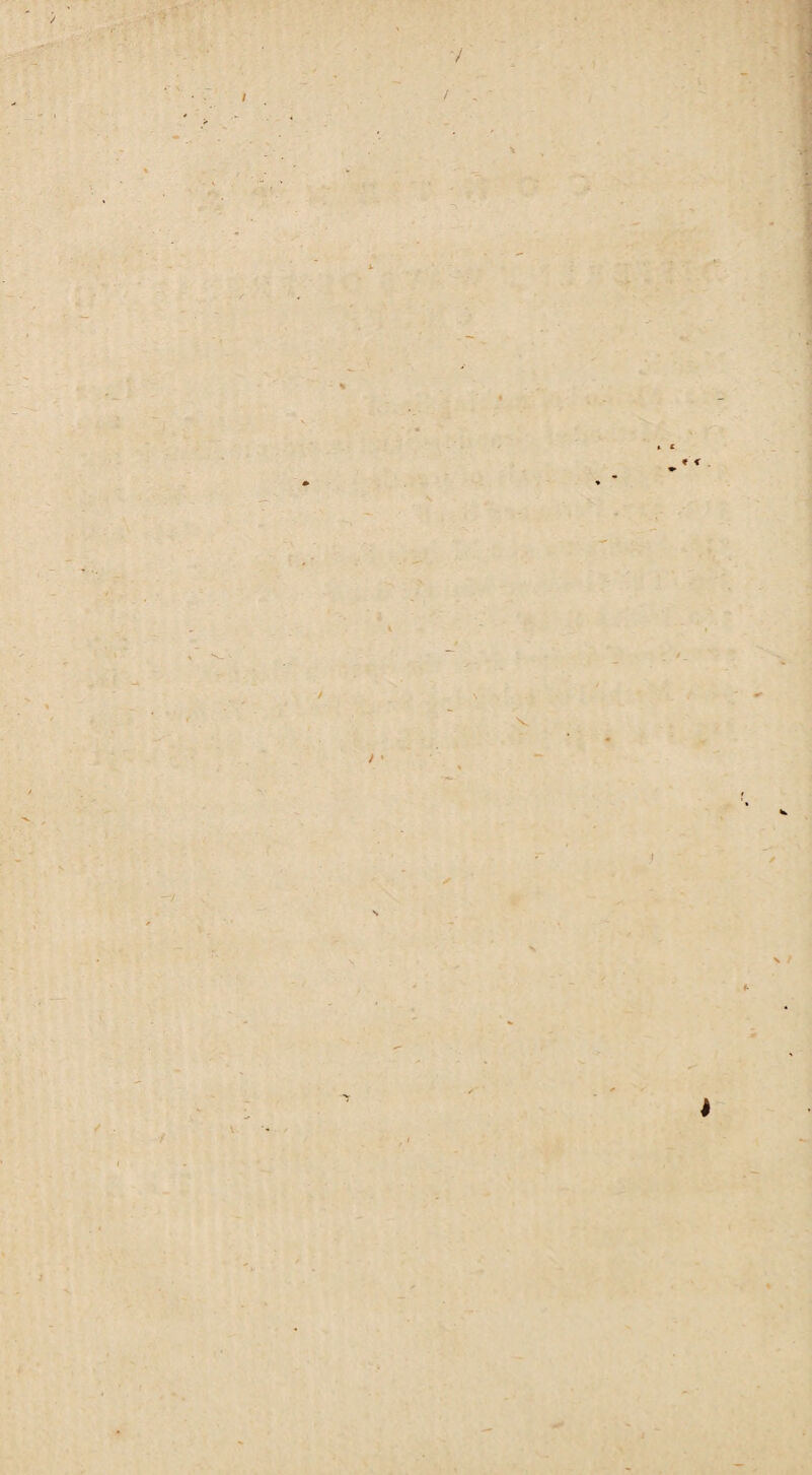 / V / • ✓ x ; t- ■'r / . / v 4 -v.