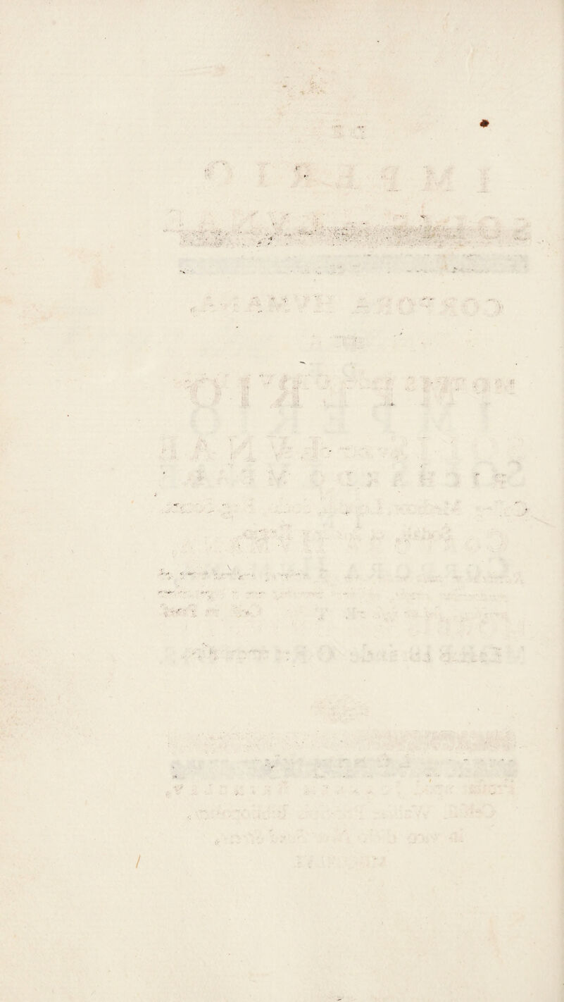 ' ■'i '^..:/ X'»' .•» T 'v'’’ &lt; I 1 vv 1 /