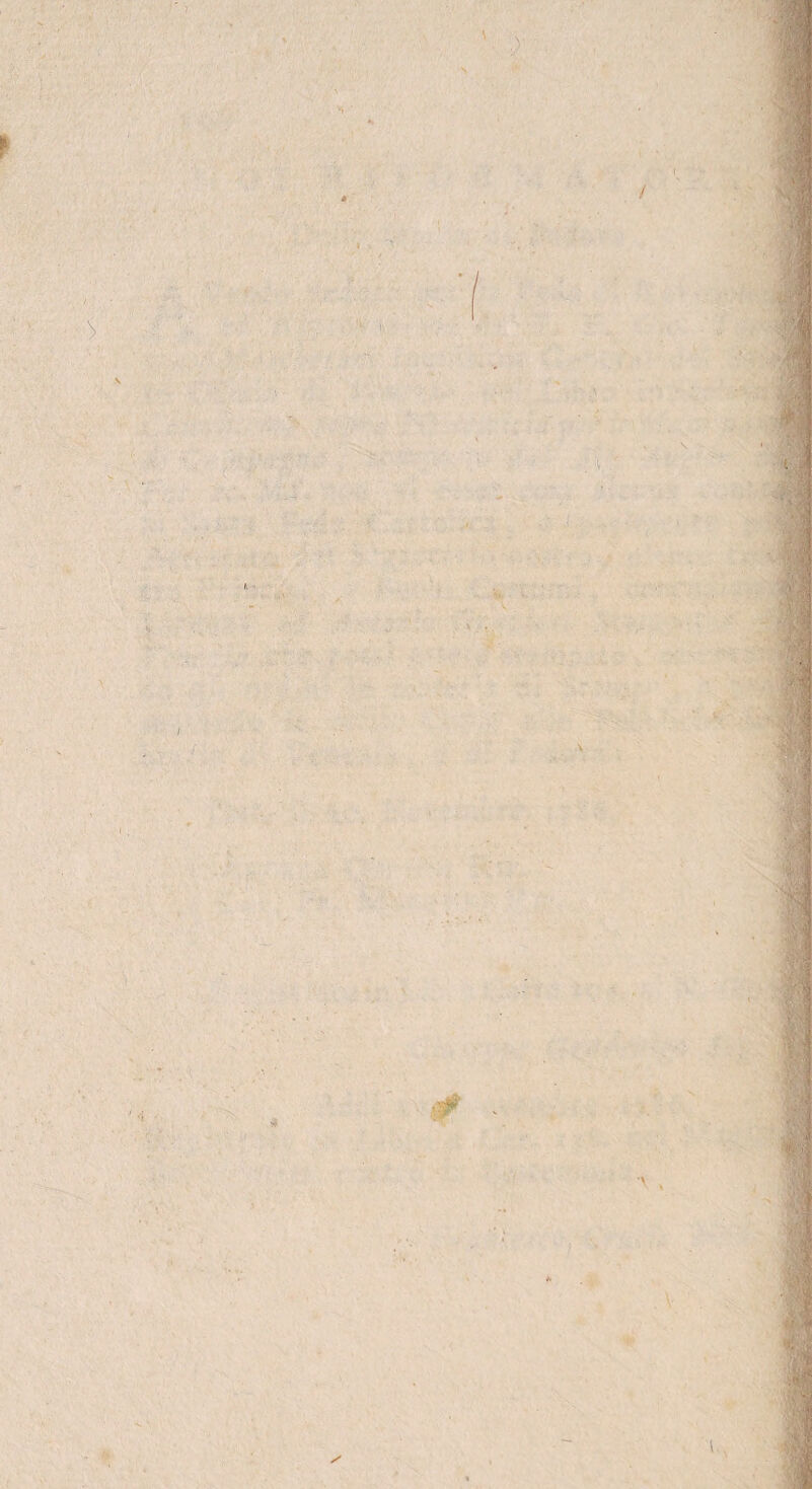 ■ \ ! f S ' «• ) • ' y v v (■ • H ■VJ \ ; •\-