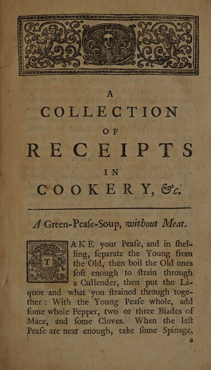, A Wied ee!” Ode So ee — i . _ ew. Ty eae es a ae Pe ee ee ee A Green-Peale-Soup, avithout Meat. aoe AK Be your Peafe, and in fhel= =| ling, feparate the Young from the Old, then boil the Old ones foft enough to ftrain through a Cullender, then put the Li- quor ‘and what you ftrained through ‘toge- ther: With the Young Peafe whole, add fome whole Pepper, two’ or three Blades of Mace, and fome Cloves. When the lait a