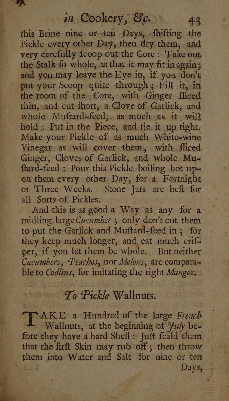 q --m Cookery, Ge. Ag this Brine: nine&gt; or -ten Days, -fhifting. the Pickle every other Day, then dry, them, .and _ very carefully {coop out the Gore : Take out the Stalk fo whole, as that it may fit in again; and you.may leave the Eye-in, if. you don’t ‘put your Scoop quite through 5 Full -1t, in the room of the’, Core, » with Ginesr fliced thin, and cut-fhort,: a, Clove of Garlick, and whole, Mutftard-feed,, as muchas it will hold:: Put in the Piece, and.tie it up tight. _ Make your Pickle of as»much White-wine Vinegar. as will. cover them, © with fliced Ginger, Cloves of Garlick, and whole Mu- ftard-feed : Pour this Pickle botling hot up- on them every other Day, for a Fortnight or Three Weeks. Stone Jars are beft for all Sorts of Pickles. : And this is as good a Way as any for a midling large Cucumber 5 only don’t cut them to put ‘the Garlick and Muttard-feed in; for they keep much longer, and eat much crif- per, if you let them be whole. But neither Cucumbers, Peaches, nor Melons, are compara- ble to Codlins for imitating the Fight Mangoe, To Pickle Walnuts. “AKE a Hundred of. the tare French Wallnuts, at the beginning of. Fuly be= feta they: have a hard Shell : Jut feald them | _ that the firft Skin may rub off; then throw. them into Water and Salt for nine or ten ee 00 oa