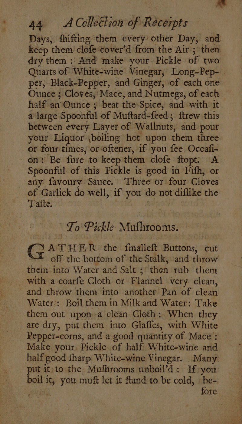 Days, thifting them every’ other Day, and keep them’ clofe‘cover’d from the Air ;° then dry them :' And make your. Pickle of two Quarts of White-wine Vinegar, Long-Pep- | per, Black-Pepper, and Ginger, of cach one Ounce ; Cloves, Mace, and Nutmegs, of each half an'Ouince : ; beat the: Spice, and with it a’ large Spoonful of Muftard-feed; ftrew this between every Layer of Wallnuts, and pour your Liquor \boiling hot upon them three or four times, or oftener, if you fee Occafi- on: Be fure to keep them clofe ftopt. A Spoonful of this Pickle is good in Fifth, or any favoury Sauce. Three or four Cloves of Garlick do well, if you do not prea the T afte. ' Lo Pickle Mafhrooms. SATHE R the fmalleft Buttons, cut off the bottom of the Stalk, ‘and throw them into Water and Salt 5 “then tub them with a coarfe Cloth or Flannel very. clean, and throw them into another Pan of clean Water.: Boil them in Milk and Water: Take them out upona clean Cloth: When they are dry, put them into Glafles, with White Pepper-corns, and a good quantity of Mace : Make your, Pickle of half White-wine and half good fharp White-wine Vinegar. Many put it,to the Mufhrooms unboil’d: If you bow bi you muff let it fland to be cold, be- ATS. } fore