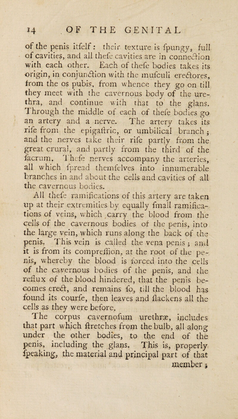 of the penis itfelf: their texture is fpungy, full of cavities, and all thefe cavities are in connection with each other. Each of thefe bodies takes its origin, in conjunction with the mufculi ereCtores, from the os pubis, from whence they go on till they meet with the cavernous body of the ure¬ thra, and continue with that to the glans. Through the middle of each of thefe bodies go an artery and a nerve. The artery takes its rife from the epigaftric, or umbilical branch ; and the nerves take their rife partly from the great crural, and partly from the third of the facrum, Thefe nerves accompany the arteries, all which fpread themfelves into innumerable branches in and about the cells and cavities of all the cavernous bodies. All thefe ramifications of this artery are taken up at their extremities by equally fmall ramifica¬ tions of veins, which carry the blood from the cells of the cavernous bodies of the penis, into the large vein, which runs along the back of the penis. This vein is called the vena penis ; and it is from its comprejlion, at the root of the pe¬ nis, whereby the blood is forced into the cells of the cavernous bodies of the penis, and the reflux of the blood hindered, that the penis be¬ comes eredf, and remains fo, till the blood has found its courfe, then leaves and flackens all the cells as they were before. The corpus cavernofum urethrae, includes that part which ftretches from the bulb, all along under the other bodies, to the end of the penis, including the glans. This is, properly Speaking, the material and principal part of that member *