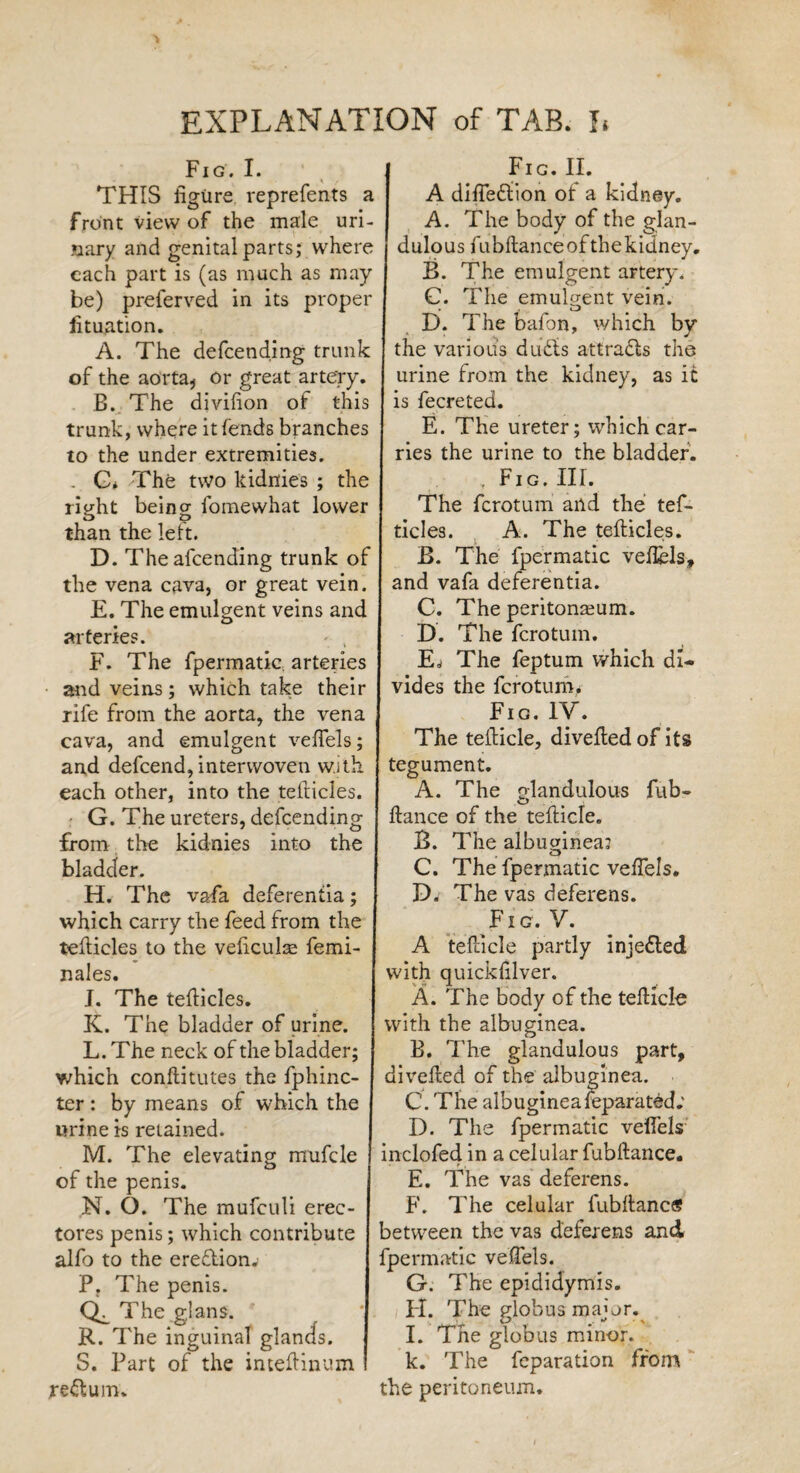 Fig. I. THIS figure reprefents a front view of the male uri¬ nary and genital parts; where each part is (as much as may¬ be) preferved in its proper fituation. A. The defcendmg trunk of the aorta* or great artery. B. The divifion of this trunk, where it fends branches to the under extremities. . G* The two kidnies ; the right being fomewhat lower than the left. D. Theafcending trunk of the vena cava, or great vein. E. The emulgent veins and arteries. • t F. The fpermatic arteries and veins; which take their rife from the aorta, the vena cava, and emulgent veffels; and defcend, interwoven with each other, into the teflicles. G. The ureters, defcending from the kidnies into the bladder. H. The vafa deferentia; which carry the feed from the teflicles to the veficulae femi- nales. J. The teflicles. K. The bladder of urine. L. The neck of the bladder; which conflitutes the fphinc- ter: by means of which the urine is retained. M. The elevating mufcle of the penis. N. O. The mufculi erec- tores penis; which contribute alfo to the ere£lion. P. The penis. Ql The glans. S. Part of the inteflinum return. Fig. II. A diffeflion of a kidney. A. The body of the glan- dulous fubflanceofthekidney. B. The emulgent artery. C. The emulgent vein. D. The bafon, which by the various dufts attracts the urine from the kidney, as it is fecreted. E. The ureter; which car¬ ries the urine to the bladder. Fig. III. The fcrotum and the tef- ticles. A. The teflicles. B. The fpermatic veflels, and vafa deferentia. C. The peritonaeum. D. The fcrotum. E* The feptum which di¬ vides the fcrotum# Fig. IV. The teflicle, divefled of its tegument. A. The fiance of the teflicle. B. The albuginea; C. The fpermatic veffels. D. The vas deferens. Fig. V. A teflicle partly injected with quickfilver. A. The body of the teflicle with the albuginea. B. The glandulous part, divefled of the albuginea. C. The albugineafeparated; I). The fpermatic velfels inclofed. in a celular fubflance. E. The vas deferens. F. The celular fubllancs between the vas deferens and fpermatic veffels. G. The epididymis. FI. The globus major. k. The reparation from the peritoneum. glandulous fub-