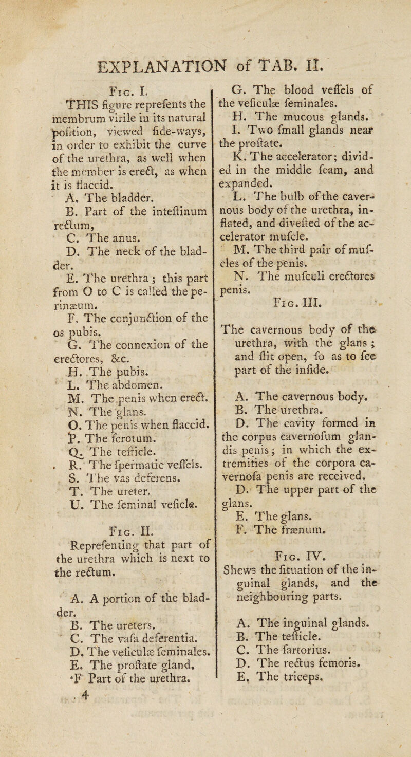 Fig. i. THIS figure reprefents the membrum virile in its natural pofition, viewed fide-ways, in order to exhibit the curve of the urethra, as well when the member is eredl, as when it is flaccid. A. The bladder. B. Part of the inteftinum redtum, C. The anus. D. The neck of the blad¬ der. E. The urethra ; this part from O to C is called the pe- rinseum. F. The ccnjundlion of the os pubis. G. The connexion of the eredlores, &c. H. The pubis. L. The abdomen. M. The penis when eredl. N. The glans. O. The penis when flaccid. P. The fcrotum. Qfi'T he teflicle. . R. The fpefmatic veffels. S. The vas deferens. T. The ureter. U. The feminal veficle. Fig. II. Reprefenting that part of the urethra which is next to the redlum. A. A portion of the blad¬ der. B. The ureters. C. The vafa deferentia. D. The velicuke feminales. E. The proftate gland, *F Part of the urethra. . . 4 G. The blood veffels of the veficulse feminales. H. The mucous glands. I. Two fmall glands near the proftate. K. The accelerator; divid¬ ed in the middle feam, and expanded. L. The bulb of the caver¬ nous body of the urethra, in¬ flated, and divefled of the ac¬ celerator mufcle. M. The third pair of mu fi¬ de s of the penis. N. The mufculi eredtores penis. Fig. III. The cavernous body of the urethra, with the glans; and flit open, fo as to fee part of the infide. A. The cavernous body. B. The urethra. D. The cavity formed in the corpus cavernofum gfan- dis penis; in which the ex¬ tremities of the corpora ca~ vernofa penis are received. D. The upper part of the glans. E. The glans. F. The frzenum. Fig. IV. Shews the fituation of the in¬ guinal glands, and the neighbouring parts. A. The inguinal glands. B. The tefticle. C. The fartorius. D. The redlus femoris. E. The triceps.